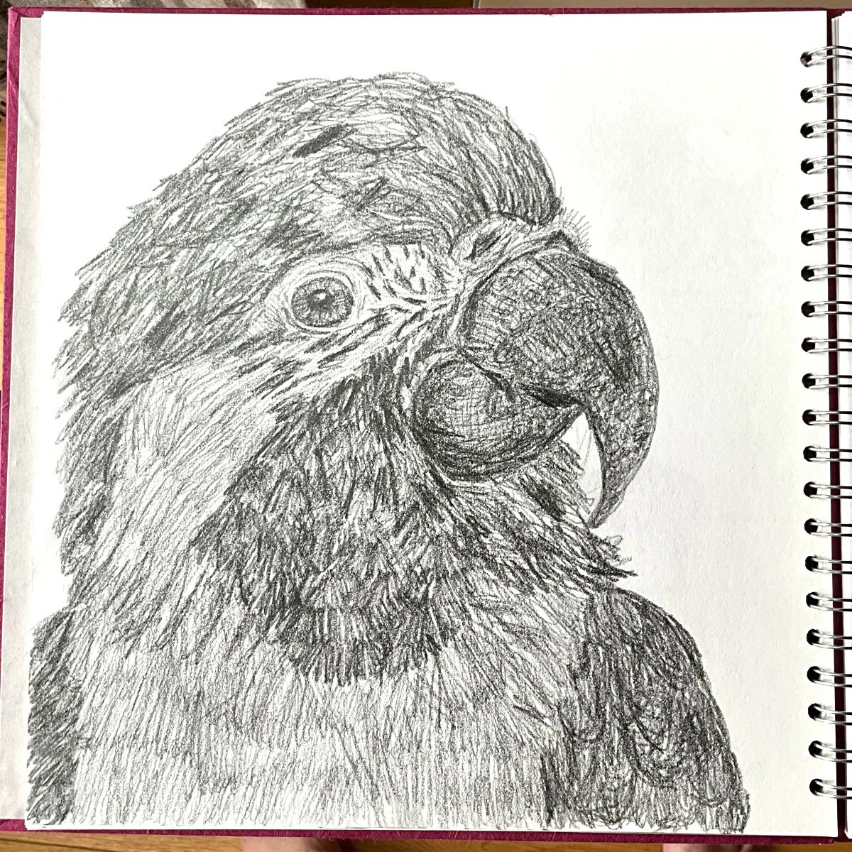 Sketchbook