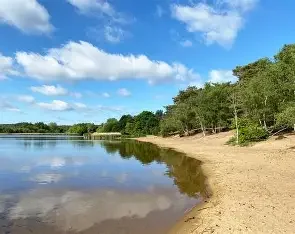 Frensham Great Pond
