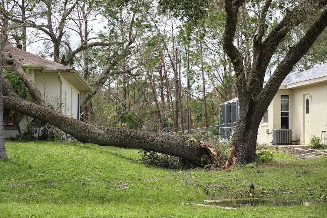 Chattanooga tree service safely removes hazardous fallen trees from residential properties, like this one damaging a home.