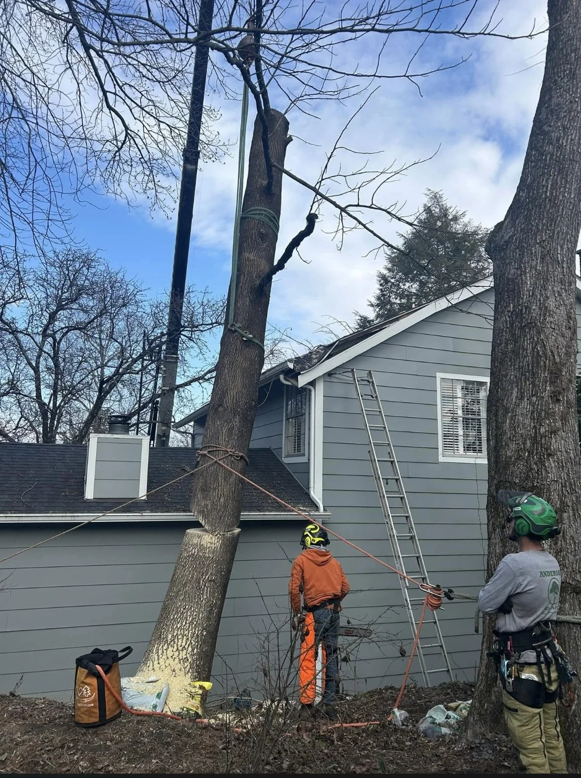 Tree removal crew using ropes and rigging to safely lower a tree near a house in Chattanooga, TN