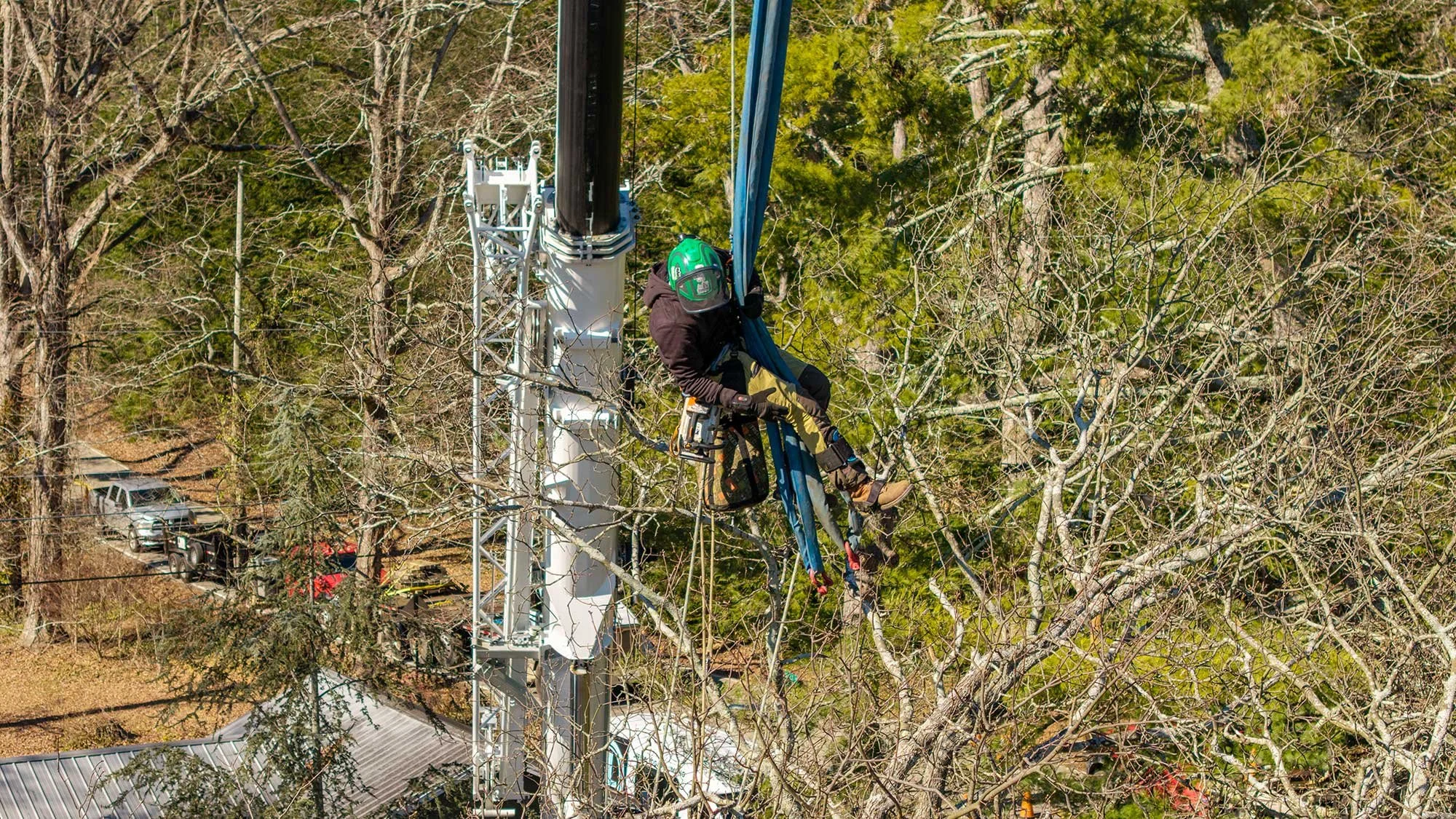 A professional arborist utilizing a large crane and specialized rigging to safely dismantle a hazardous tree over a residential property in Chattanooga, Tennessee.