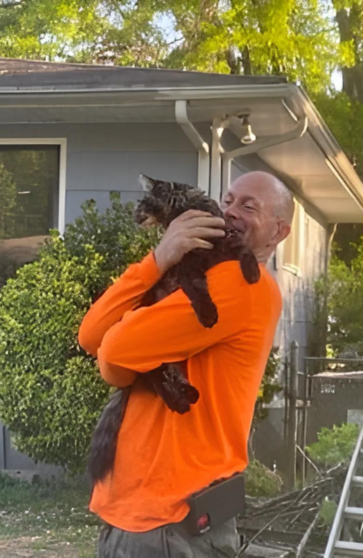Chattanooga tree service expert performing a delicate cat rescue from a high tree branch in the Chattanooga area.
