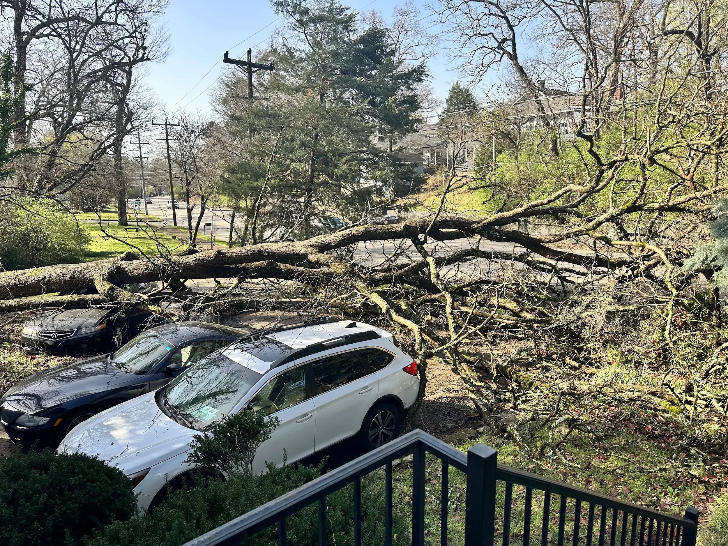 A large fallen tree rests on a white SUV and a black car in a residential driveway in Chattanooga, illustrating why immediate tree removal matters to prevent secondary structural and insurance complications.
