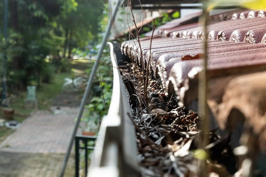 Prevent property damage with gutter cleaning in Chattanooga – image shows gutter blocked by tree foliage.