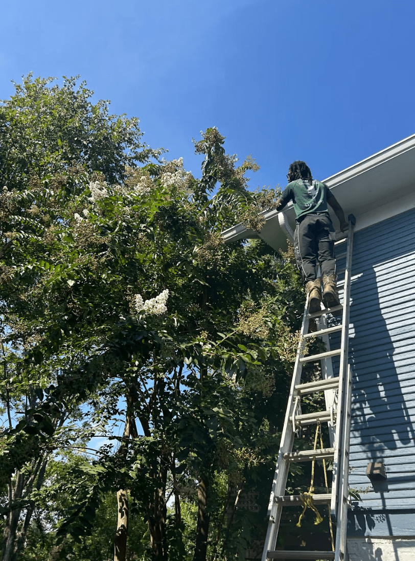 Technician on a ladder repairing gutters along a residential roof with trees nearby in Chattanooga, Tennessee