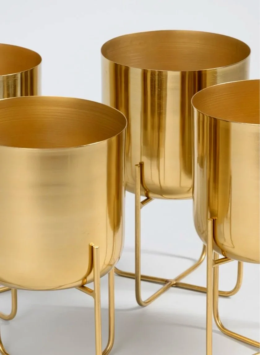 IMGP-31-GOLD-B.jpg