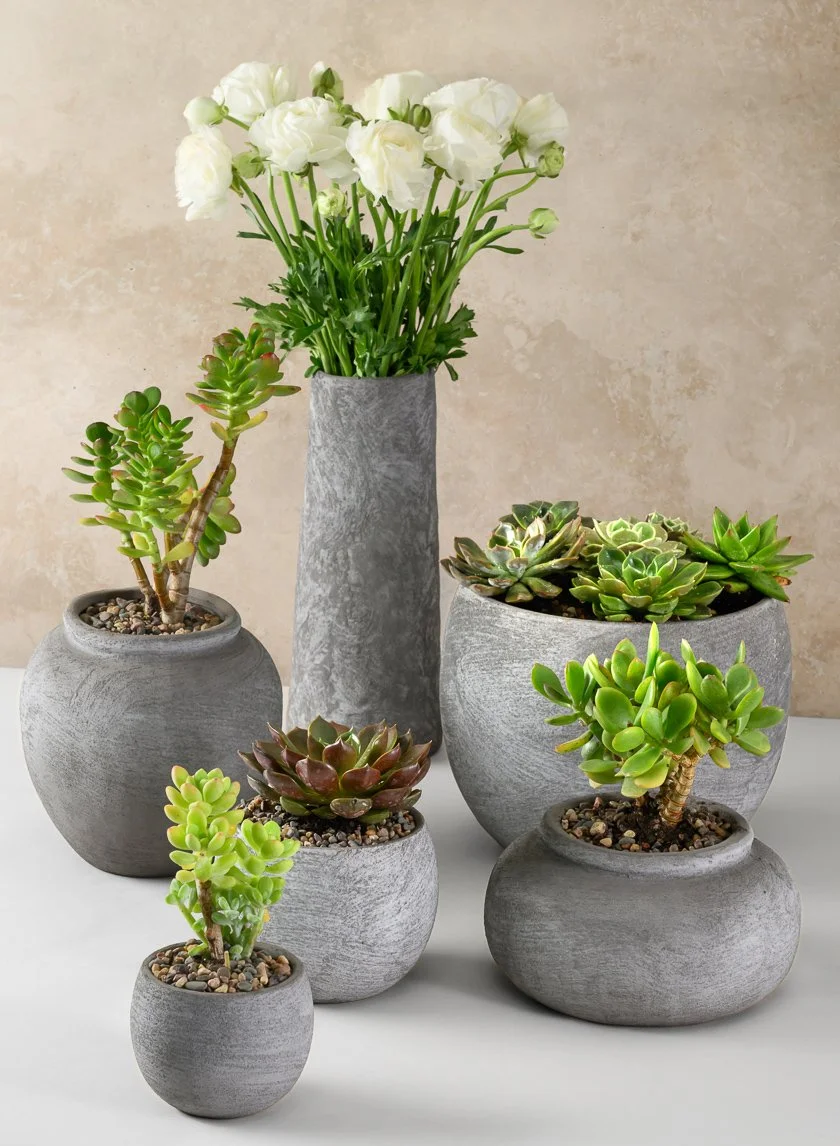 TEXTURED CERAMIC FAMILY-A.jpg