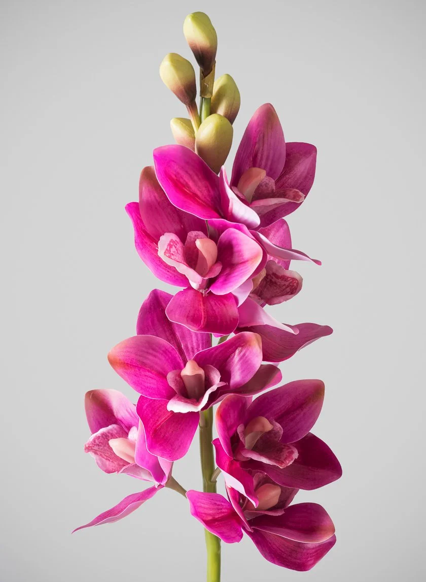 24030016-Orchid-24.jpg