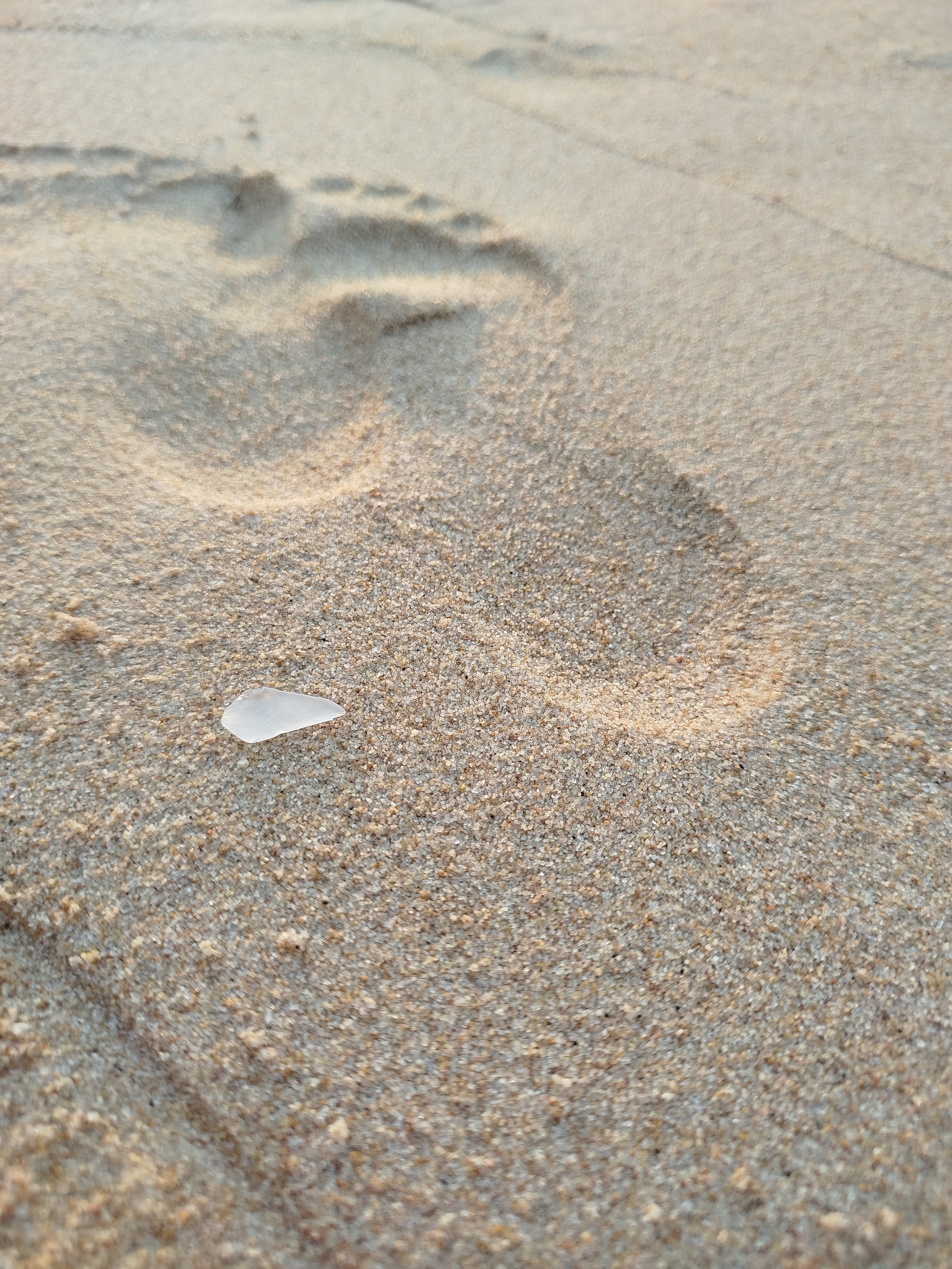 Seaglass (96).jpg