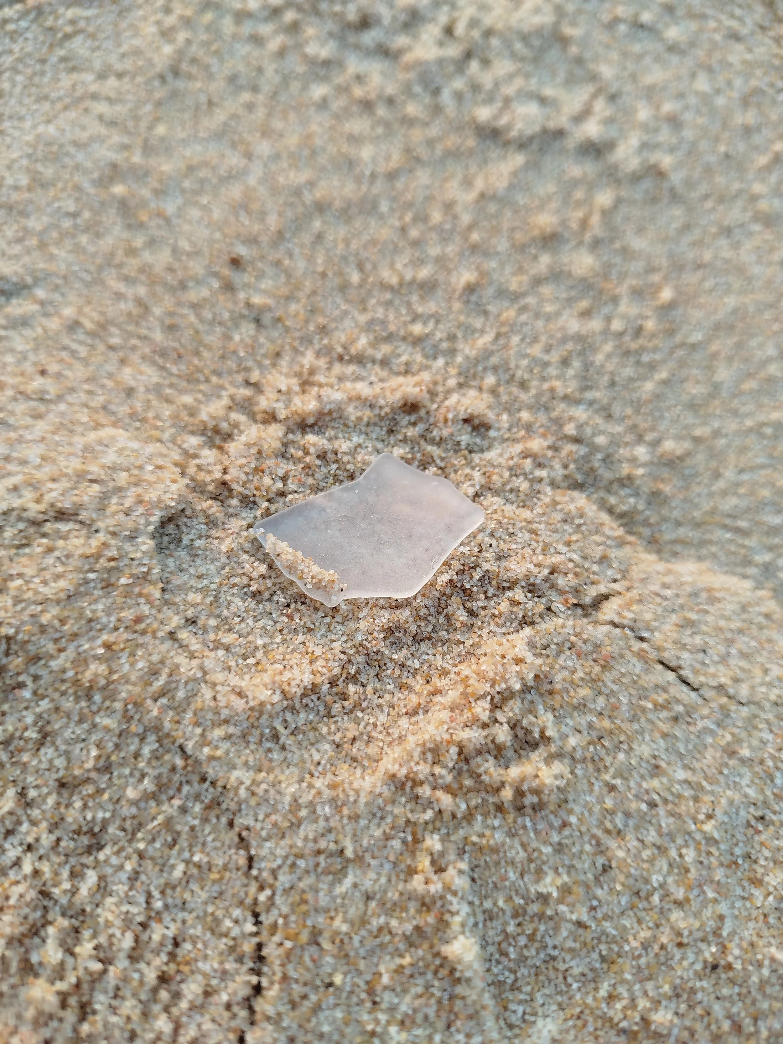 Seaglass (97).jpg