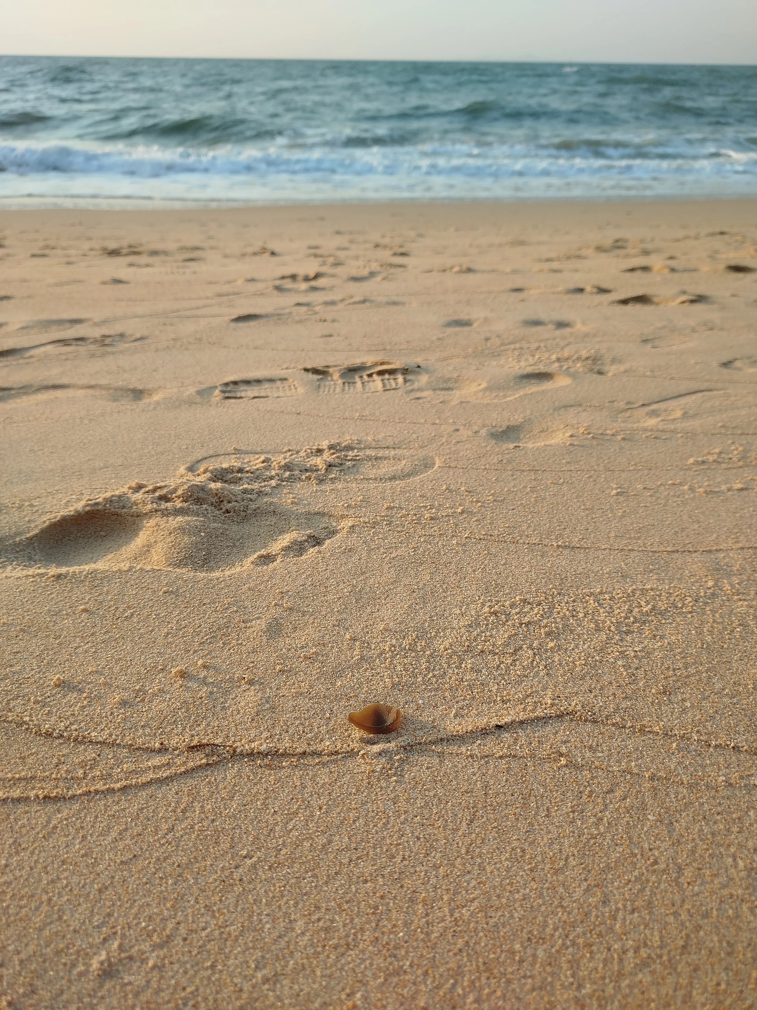 Seaglass (90).jpg
