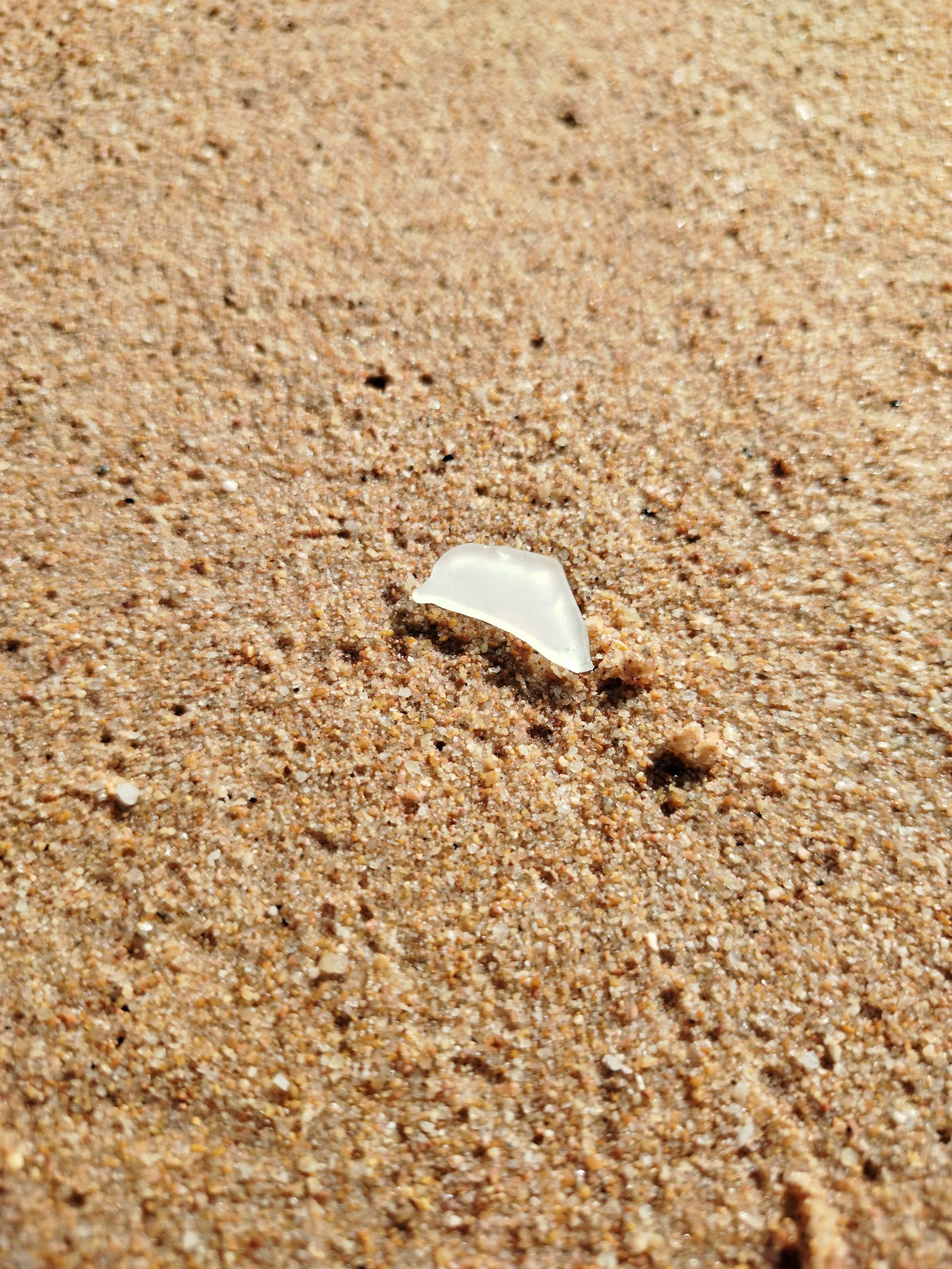 Seaglass (50).jpg