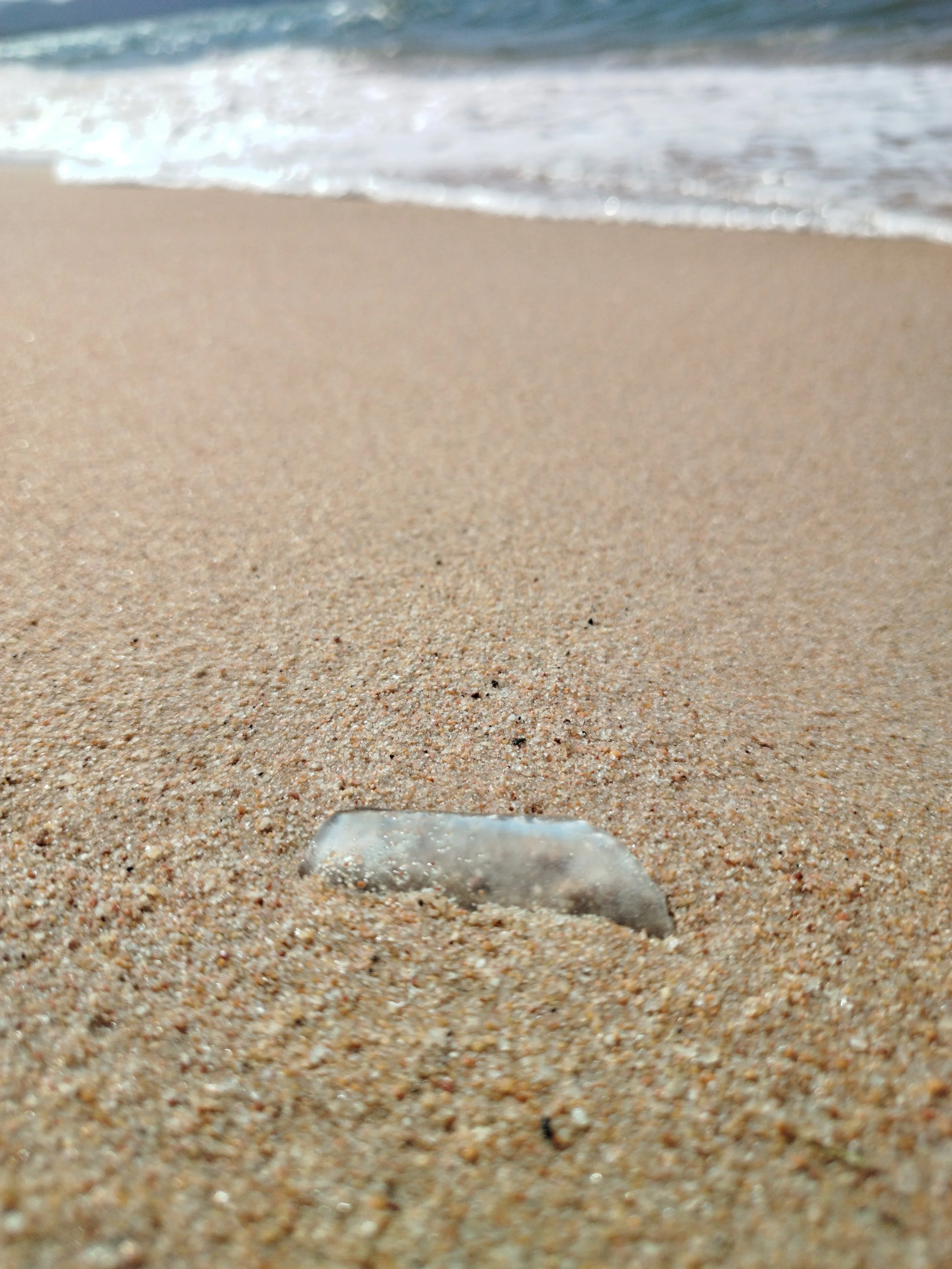 Seaglass (32).jpg