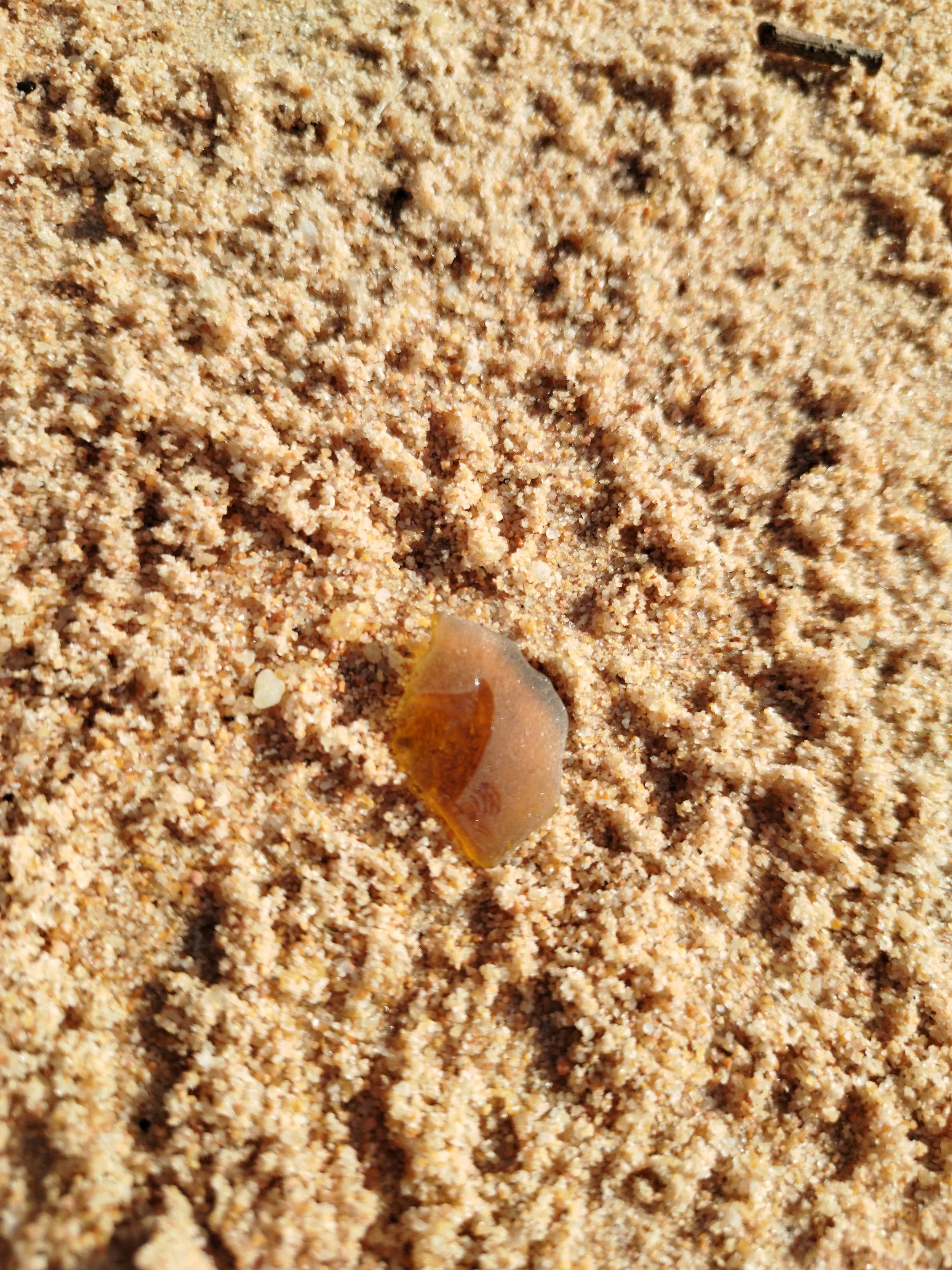 Seaglass (57).jpg