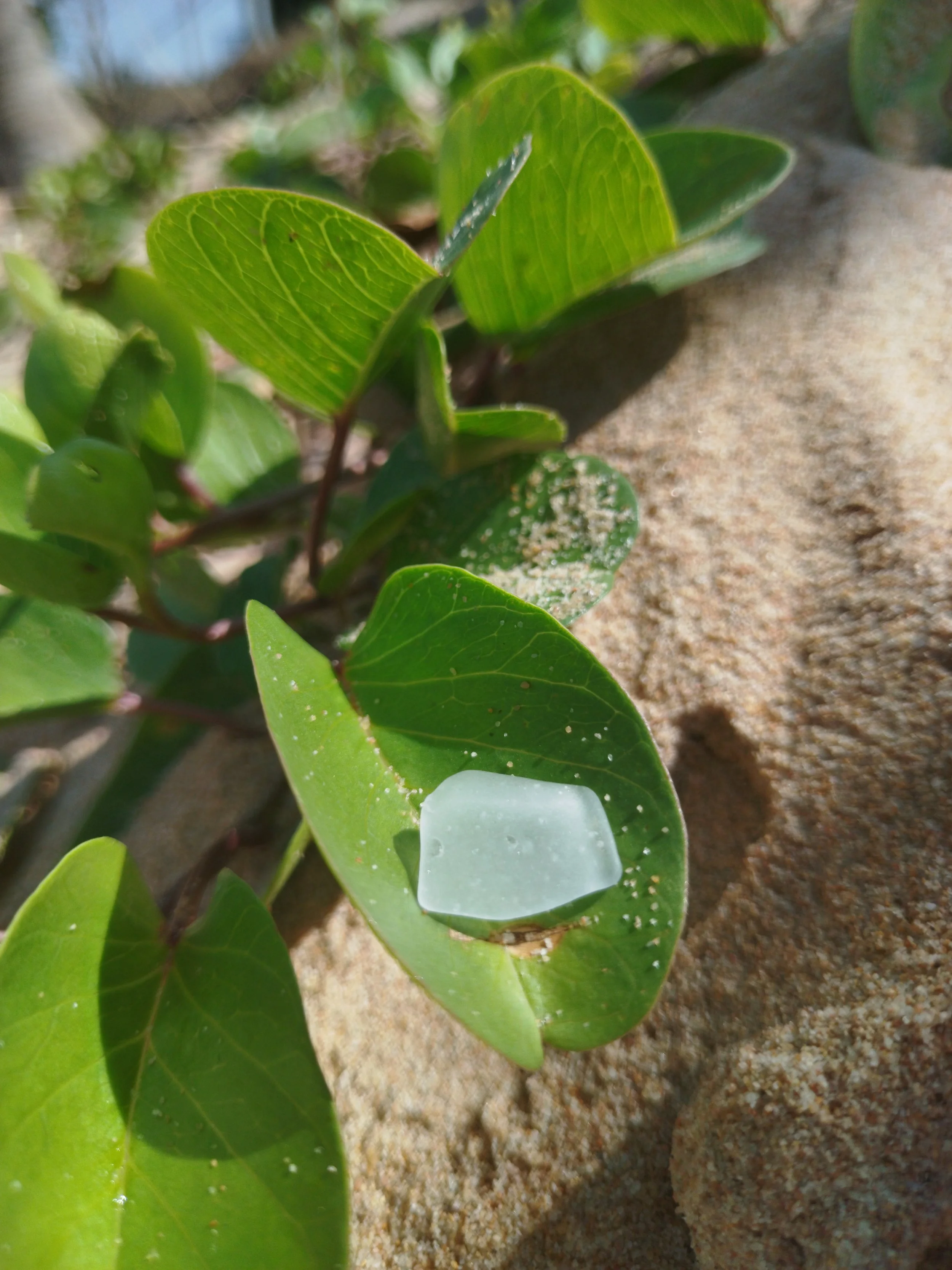 Seaglass (111).jpg