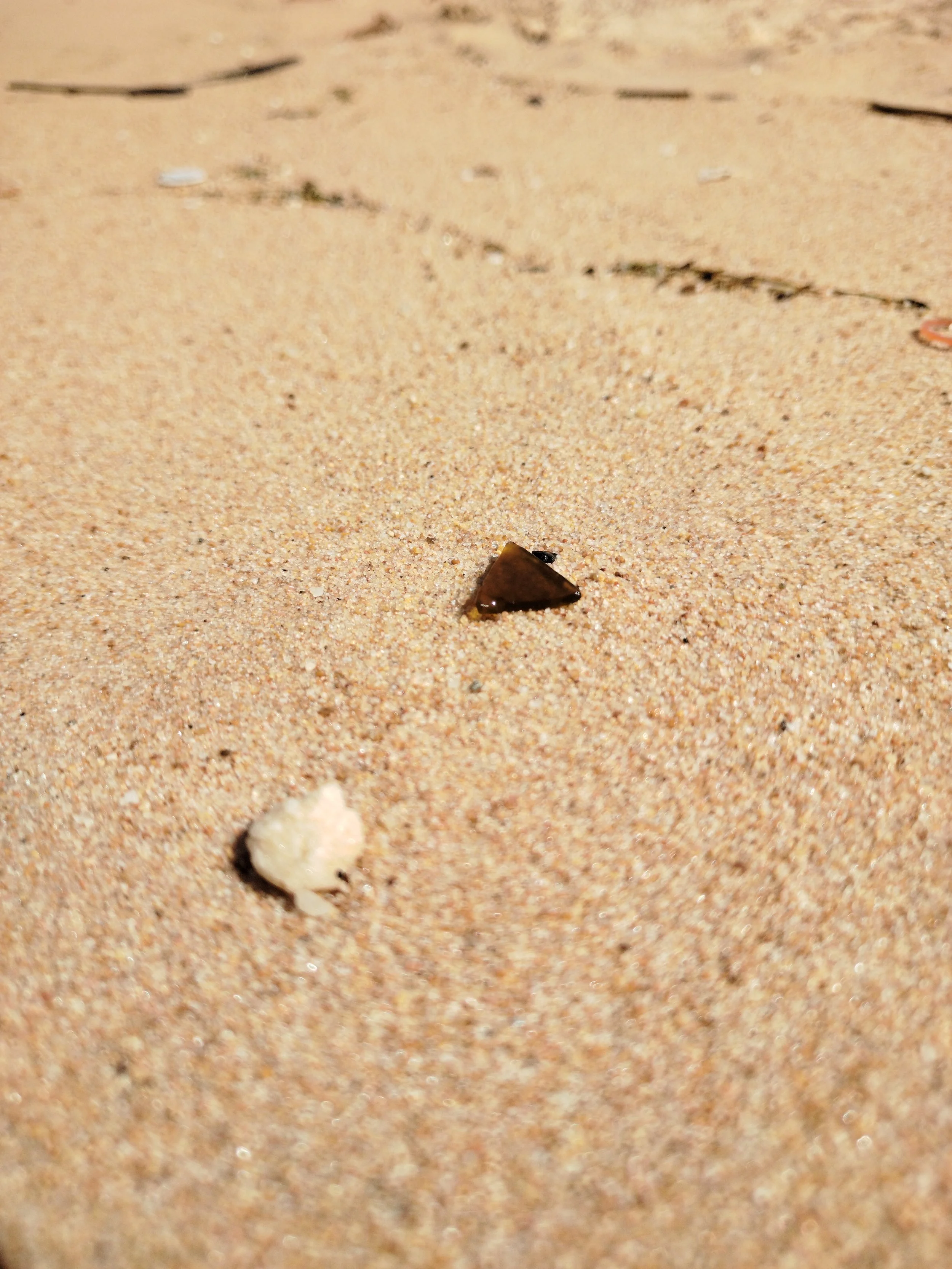 Seaglass (106).jpg
