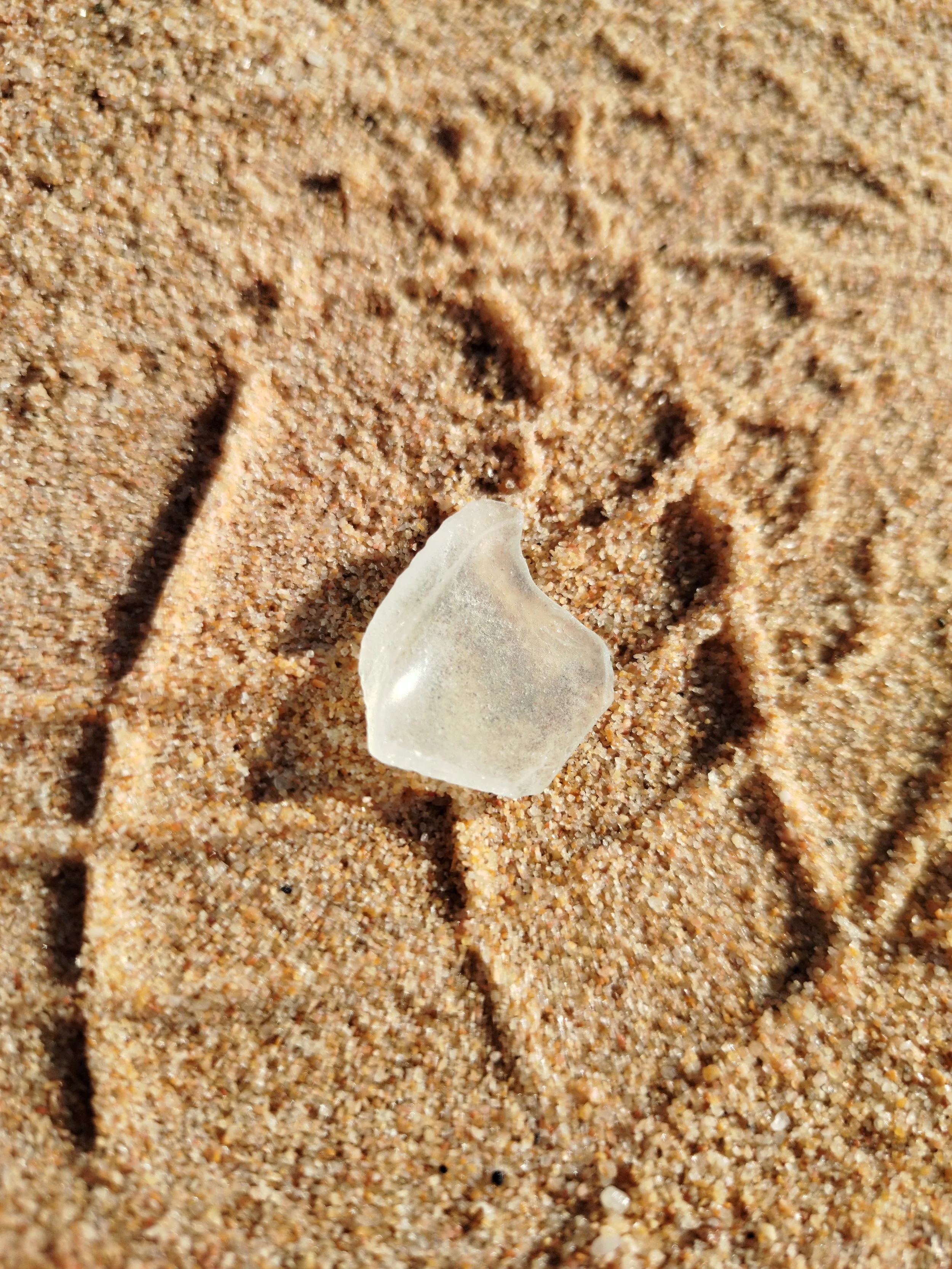 Seaglass (67).jpg