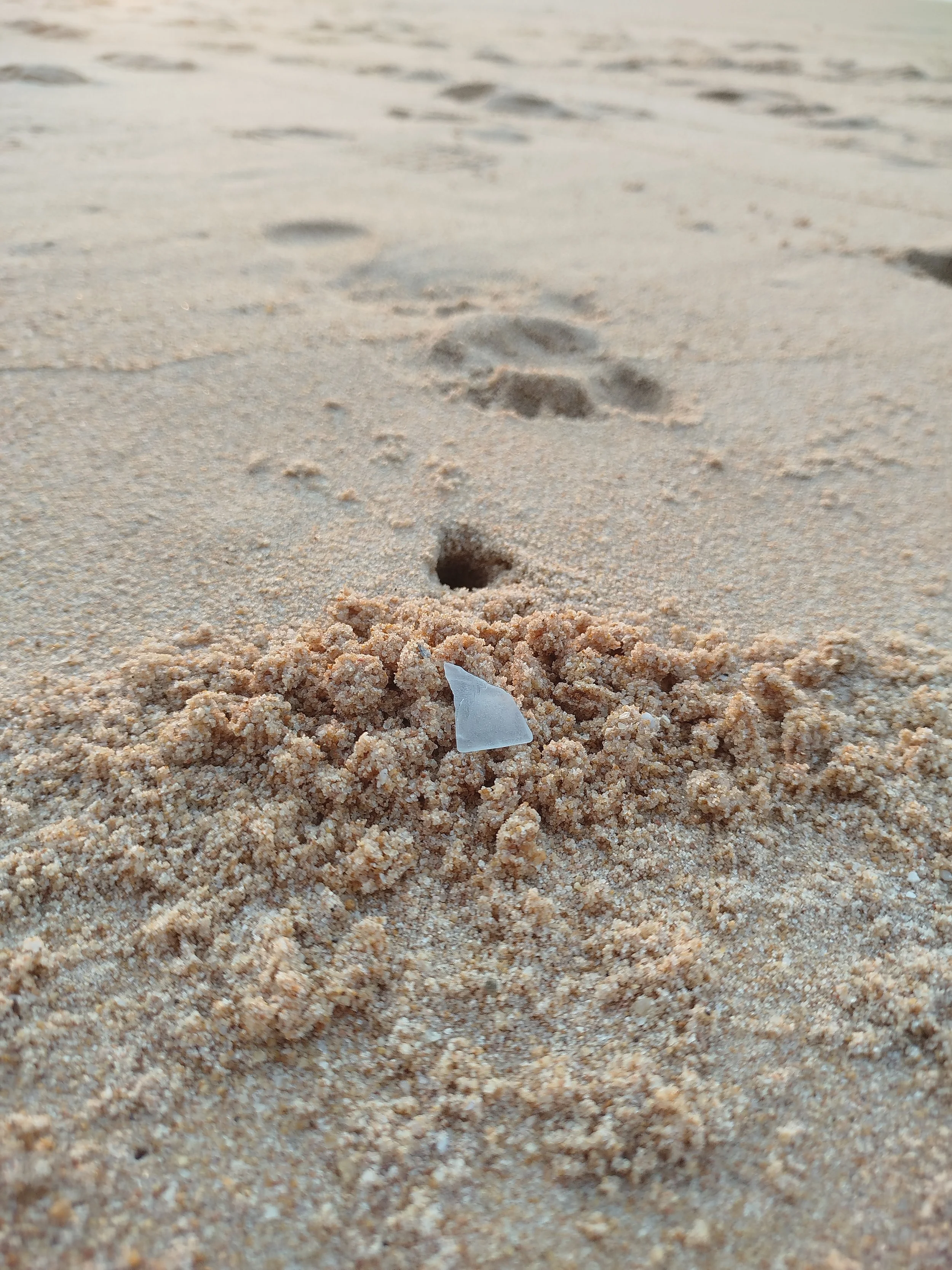 Seaglass (76).jpg