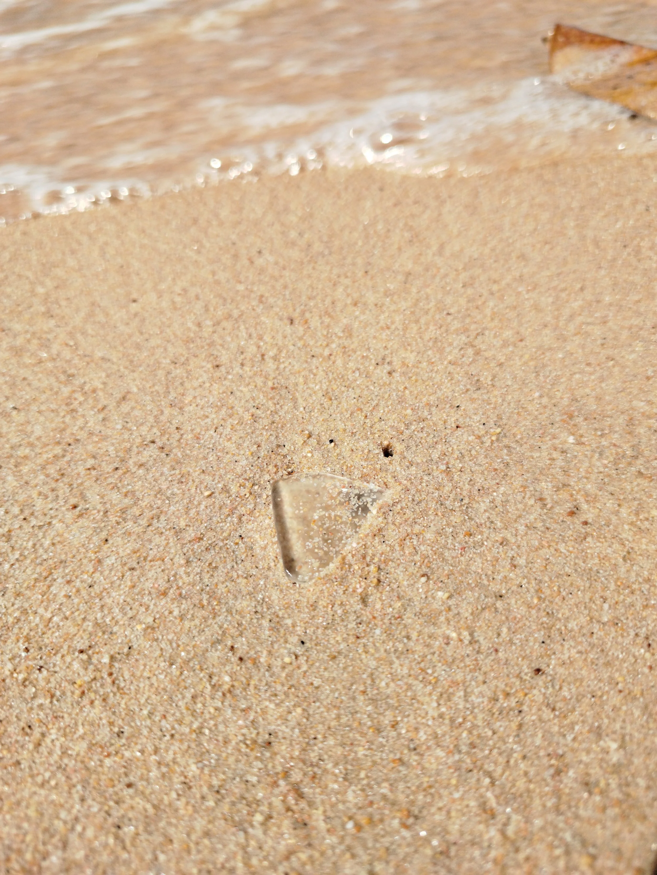 Seaglass (22).jpg