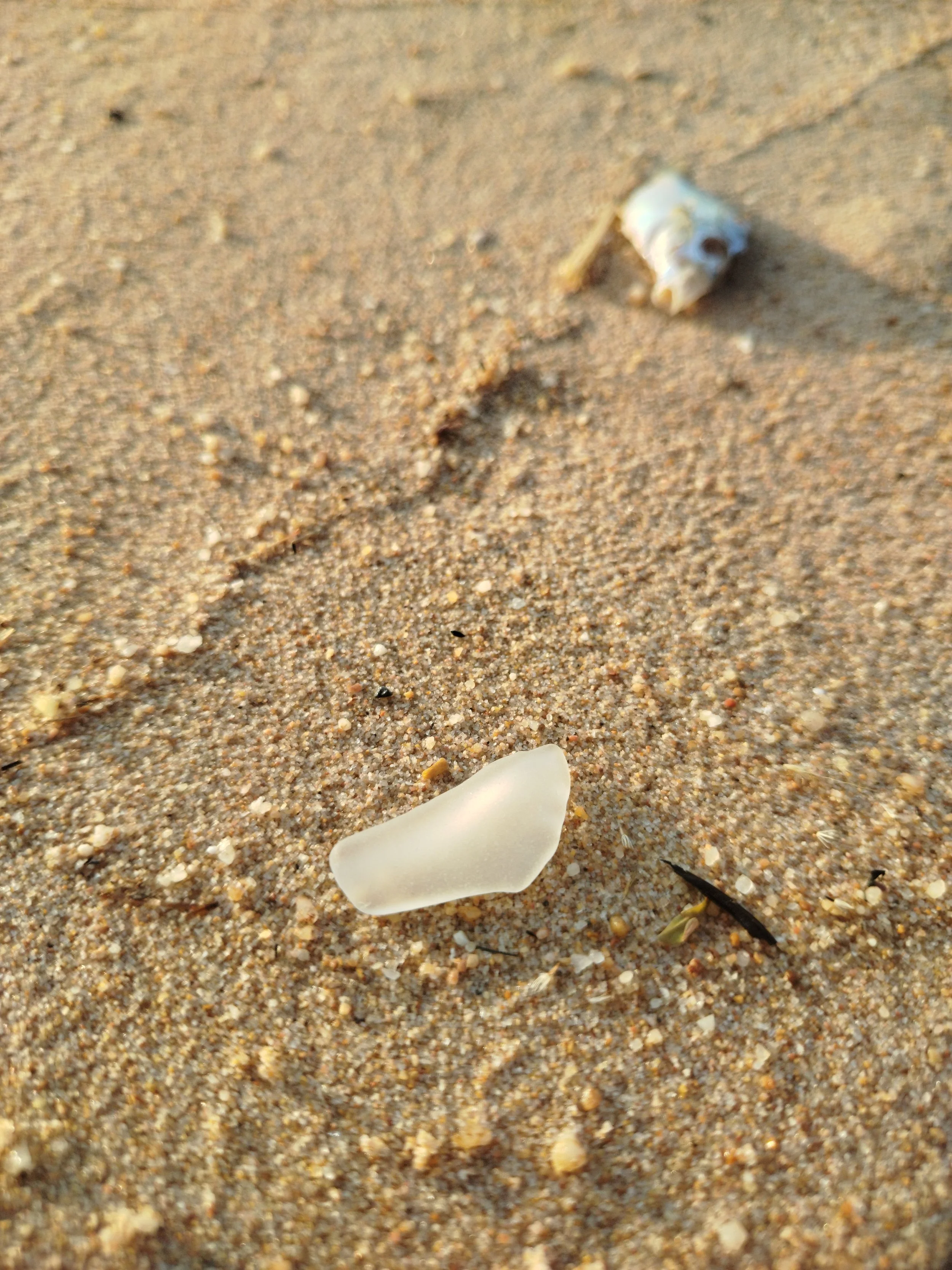 Seaglass (82).jpg