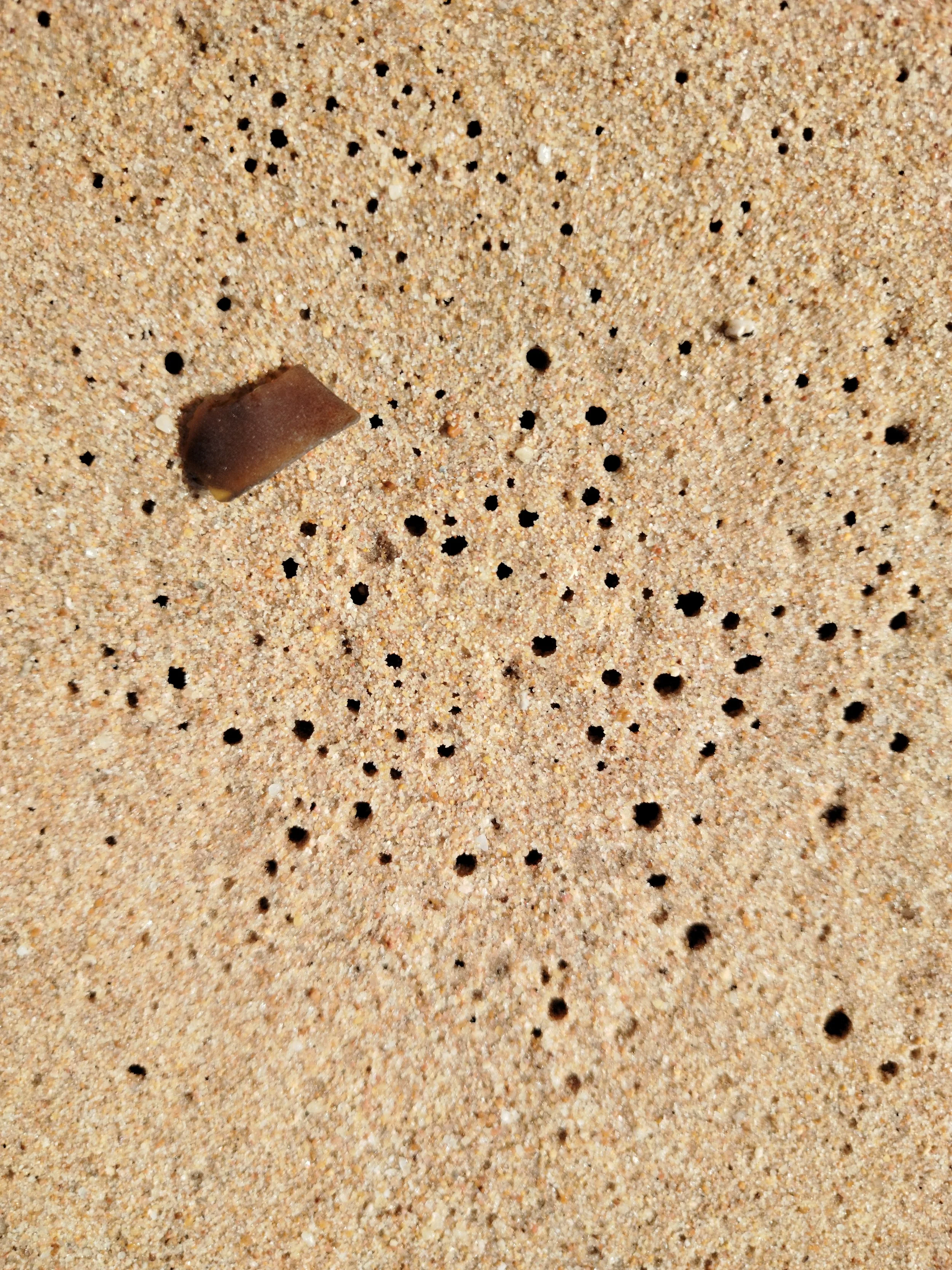 Seaglass (36).jpg