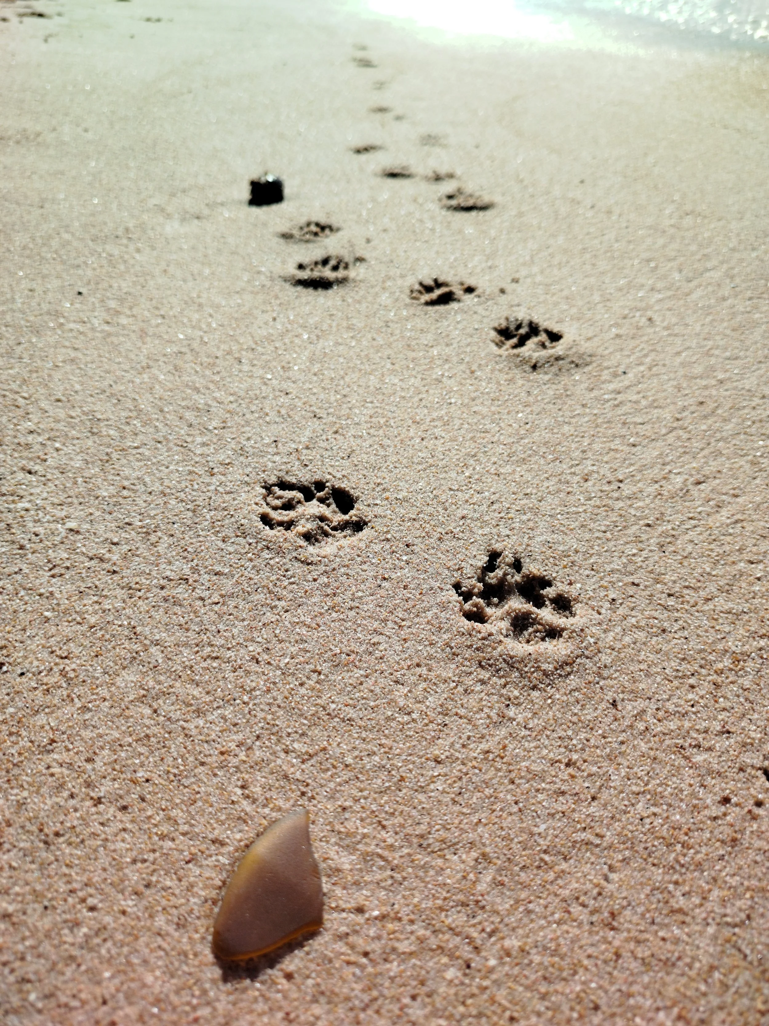 Seaglass (45).jpg