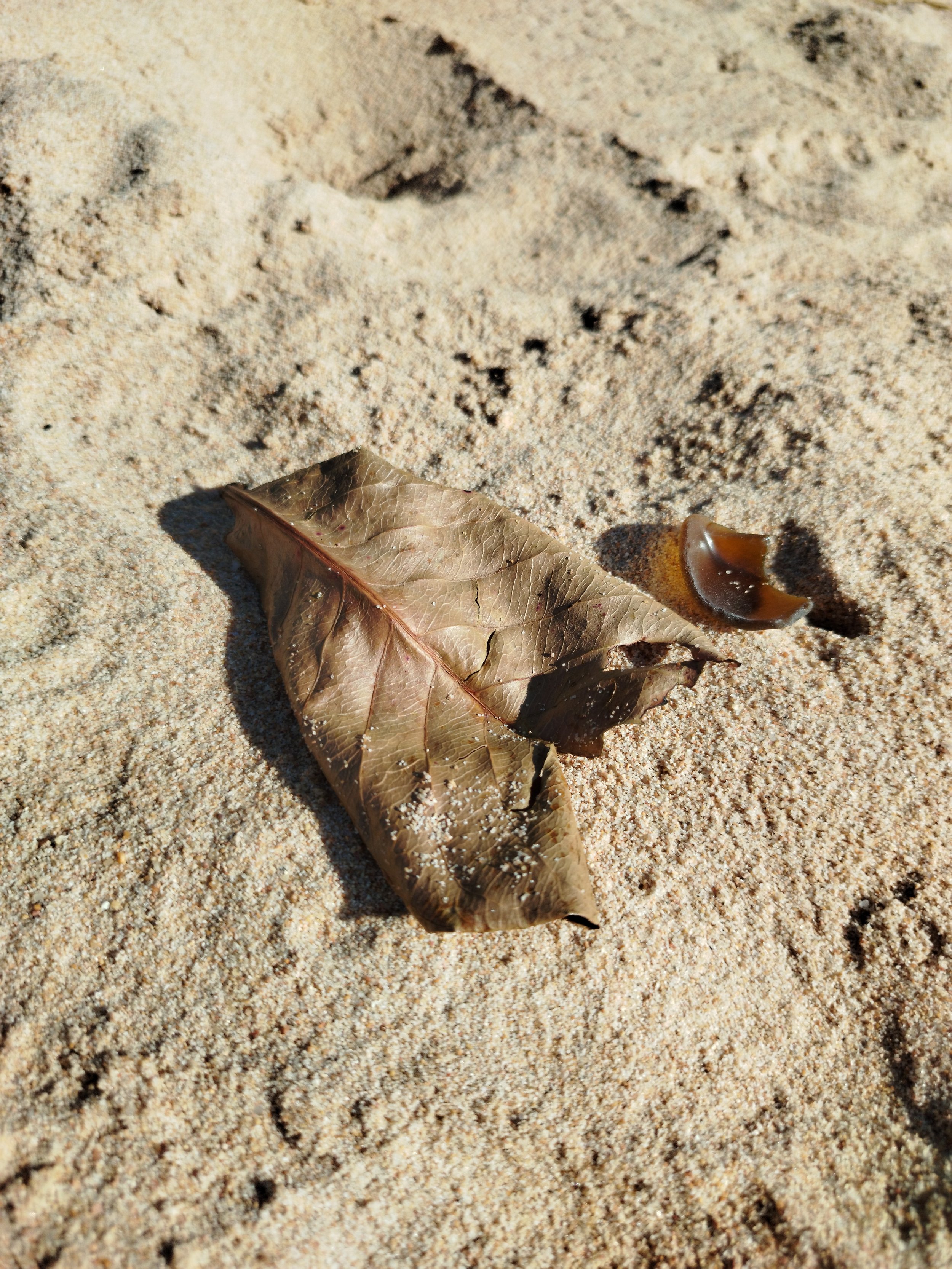 Seaglass (43).jpg