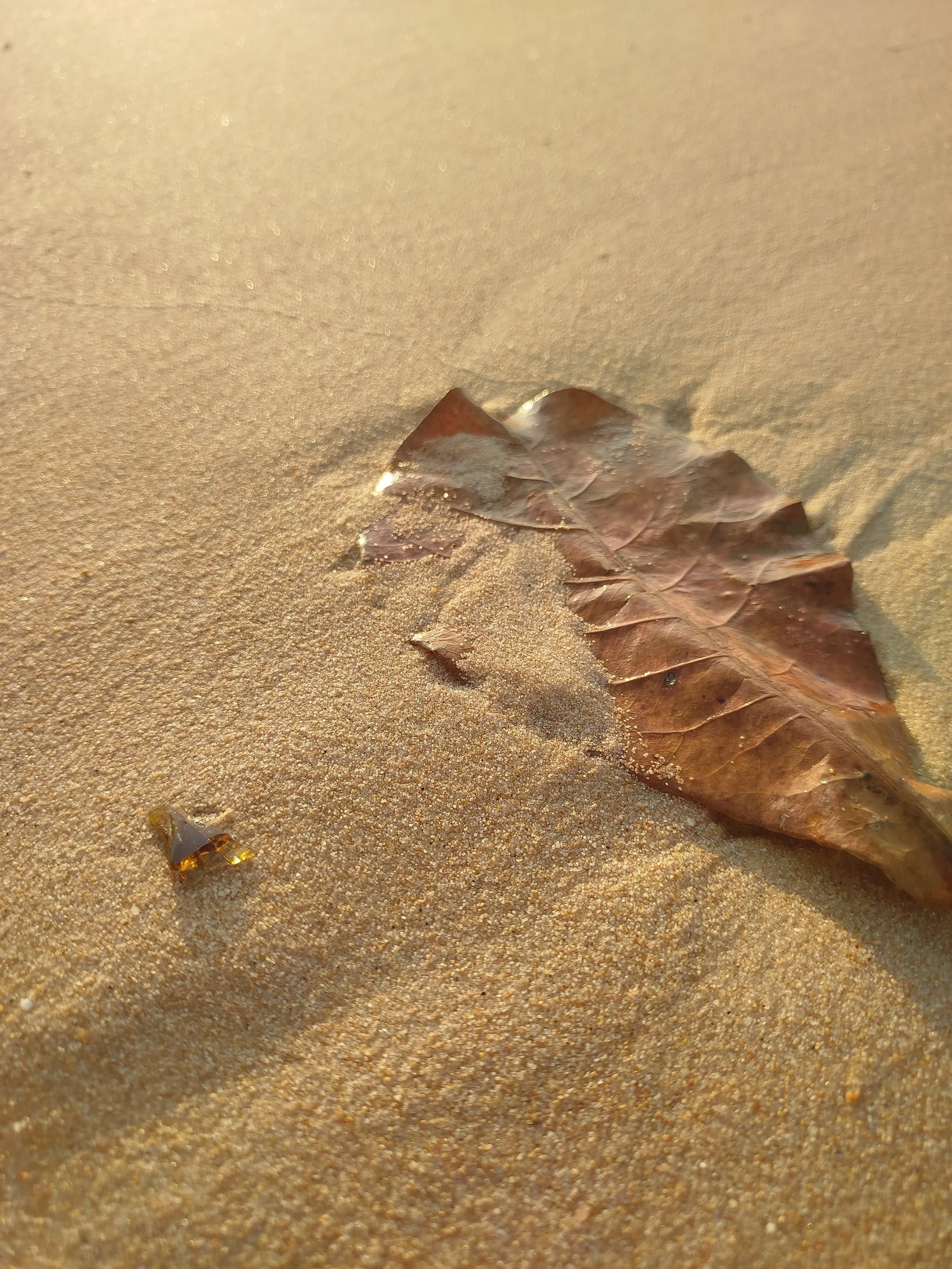 Seaglass (83).jpg