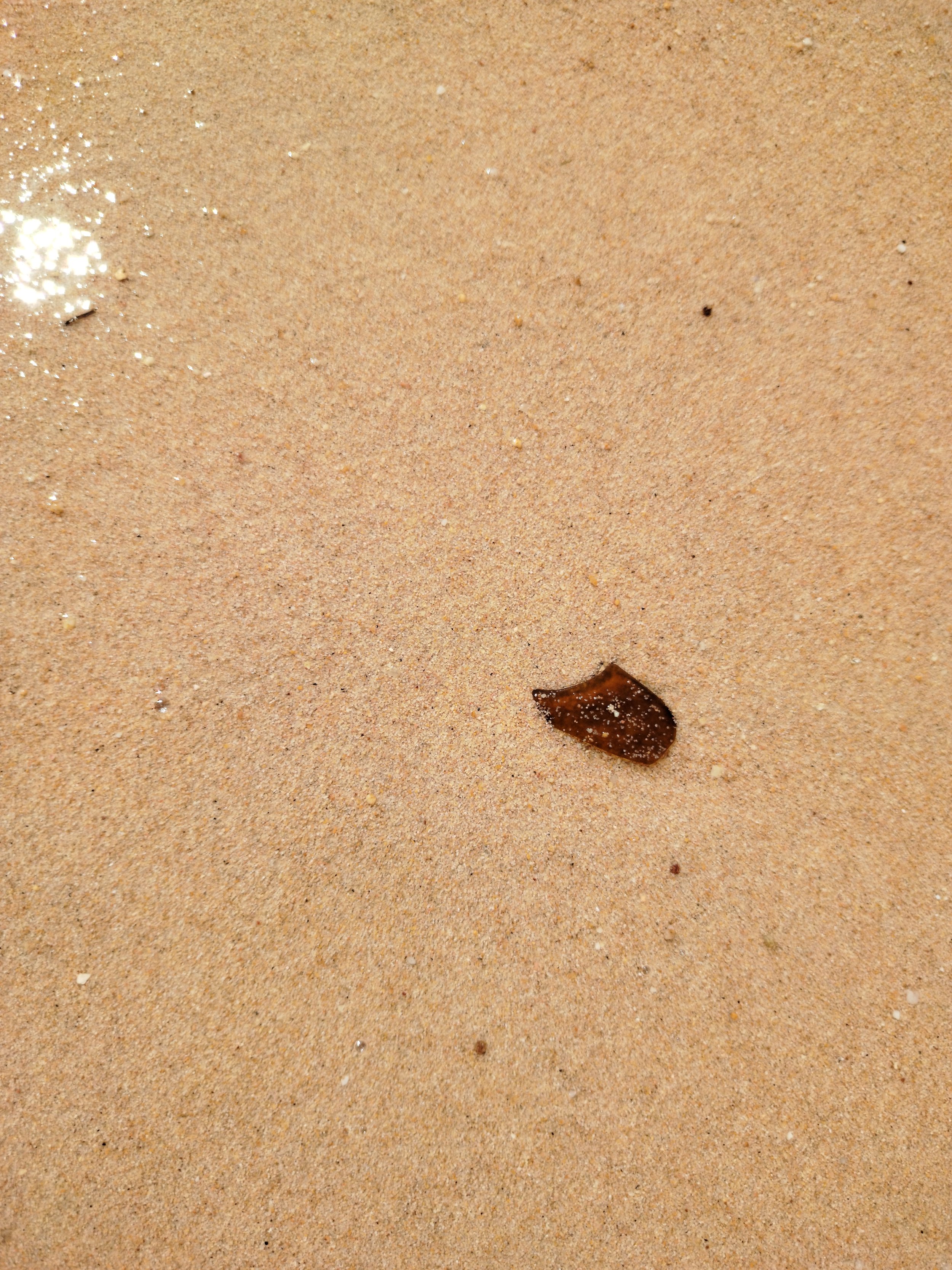 Seaglass (39).jpg