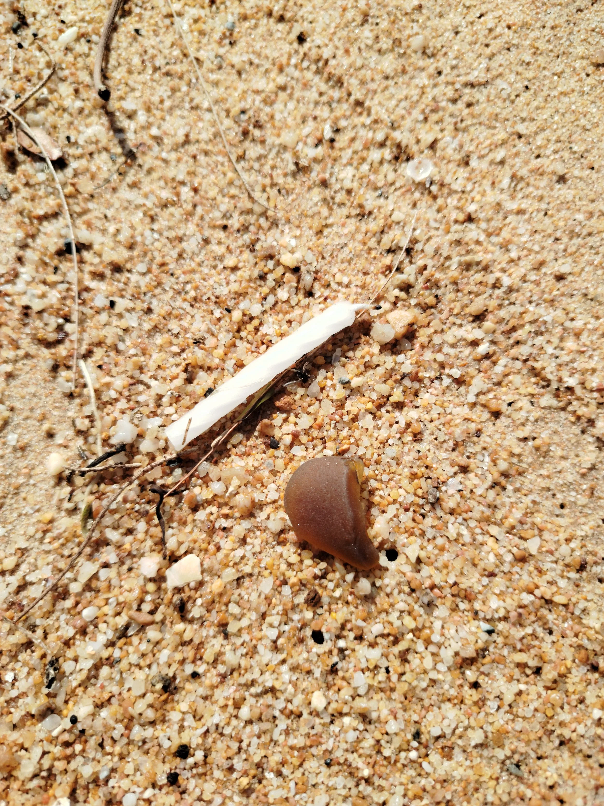 Seaglass (34).jpg