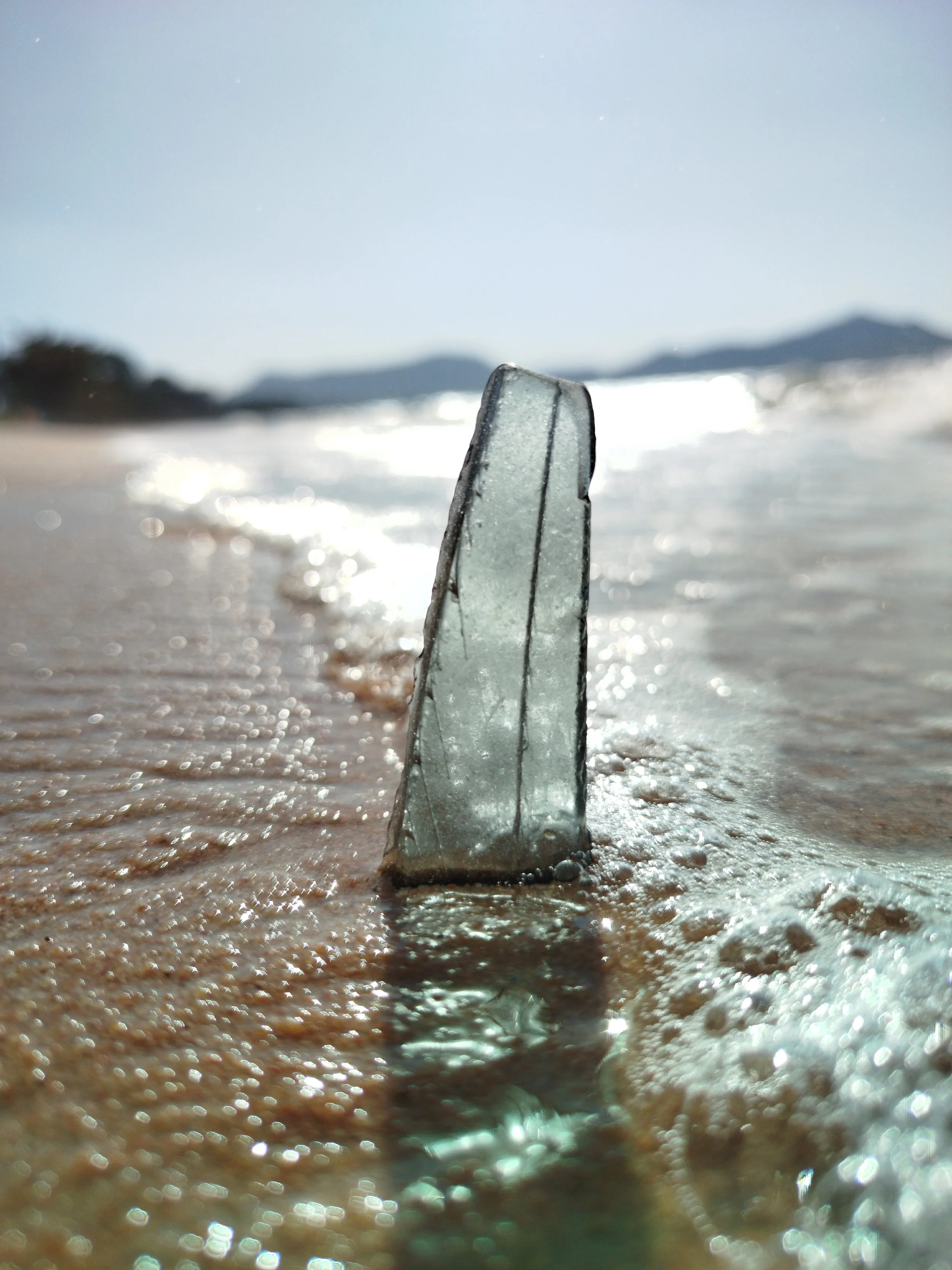 Seaglass (49).jpg