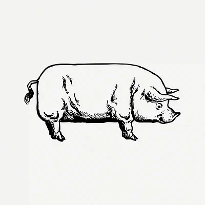 Pulled Pork Sandwich