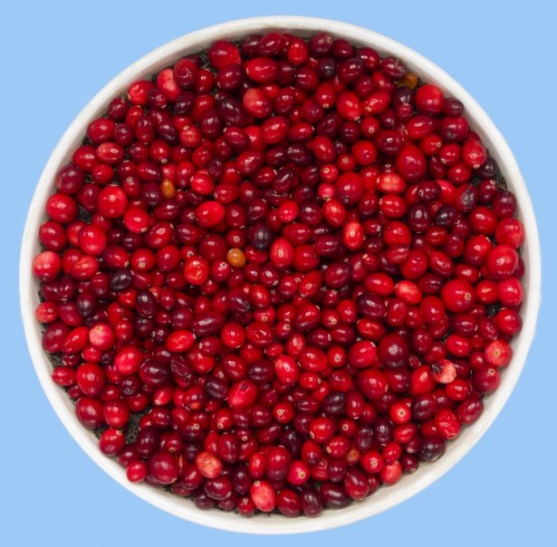 bucket-of-cranberries.jpg