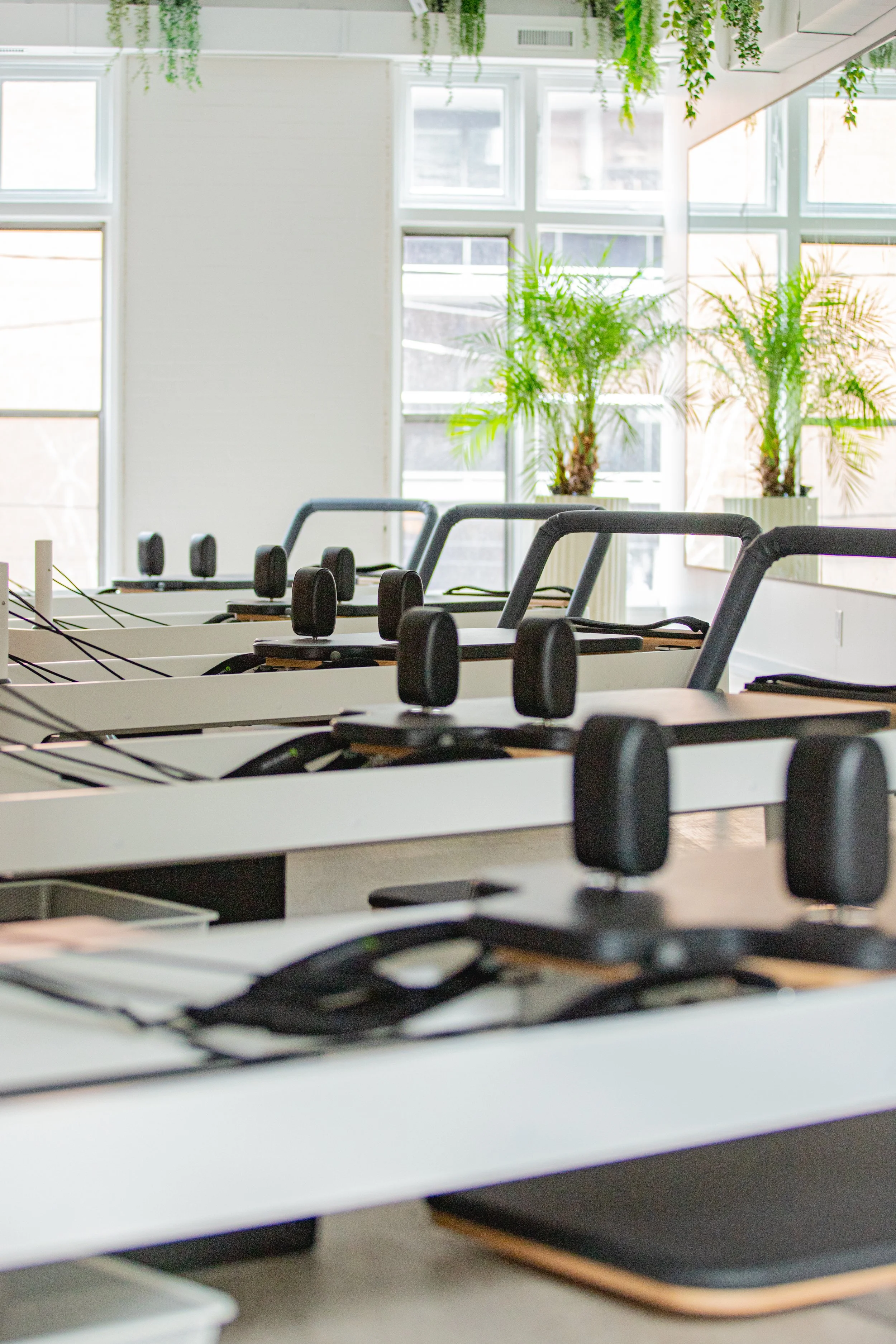 Exercise machines in a bright, modern gym with large windows and potted plants.