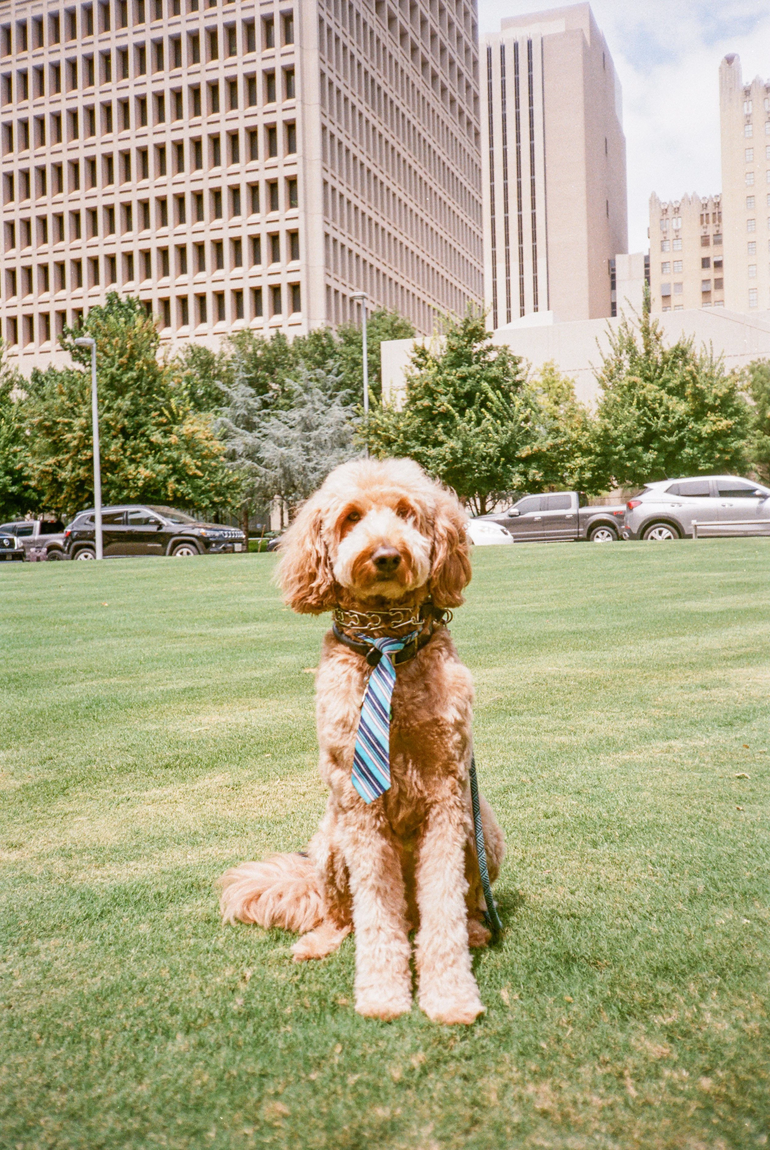 Fujifilm 200 (135) 1143-000011430021.jpg