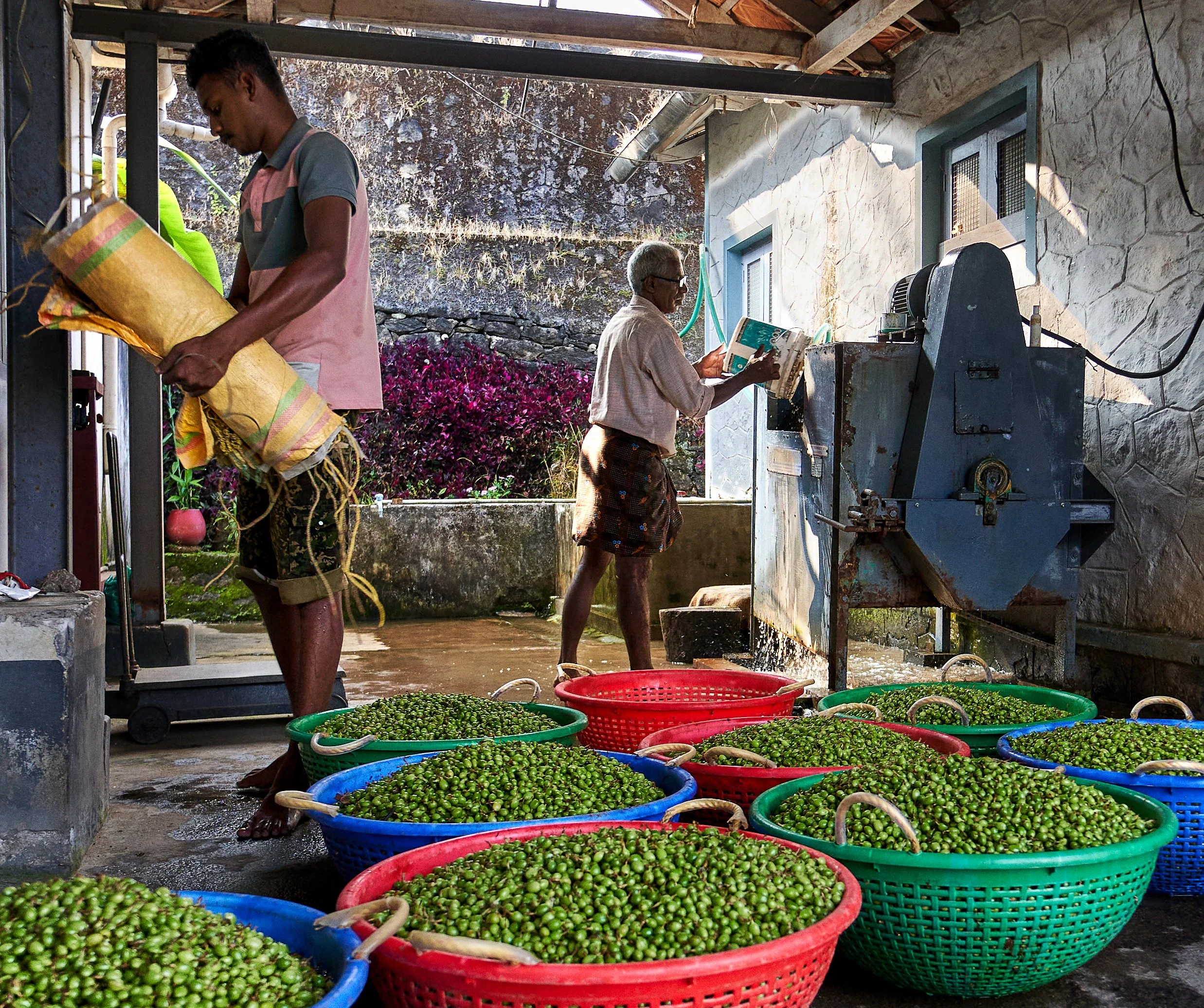 documentary photography