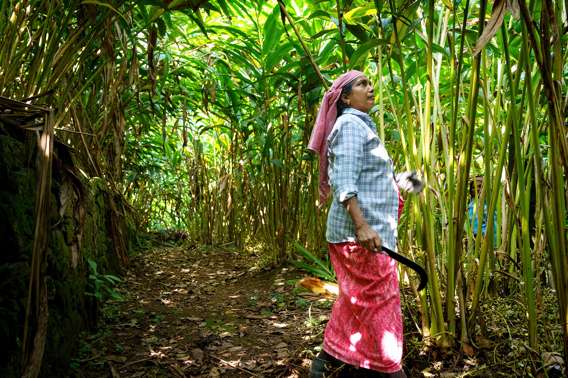 Portratits,portraiture,portrat photography,documentary,chennai,tamil nadu,india