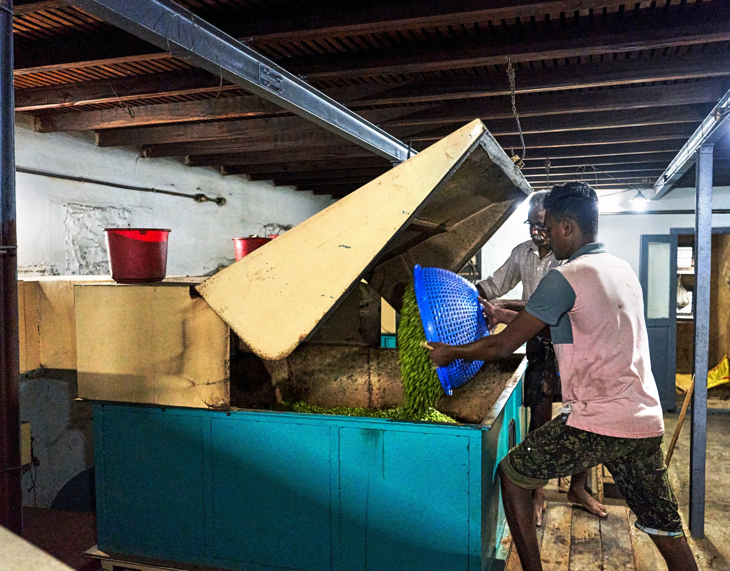 Portratits,portraiture,portrat photography,documentary,chennai,tamil nadu,india