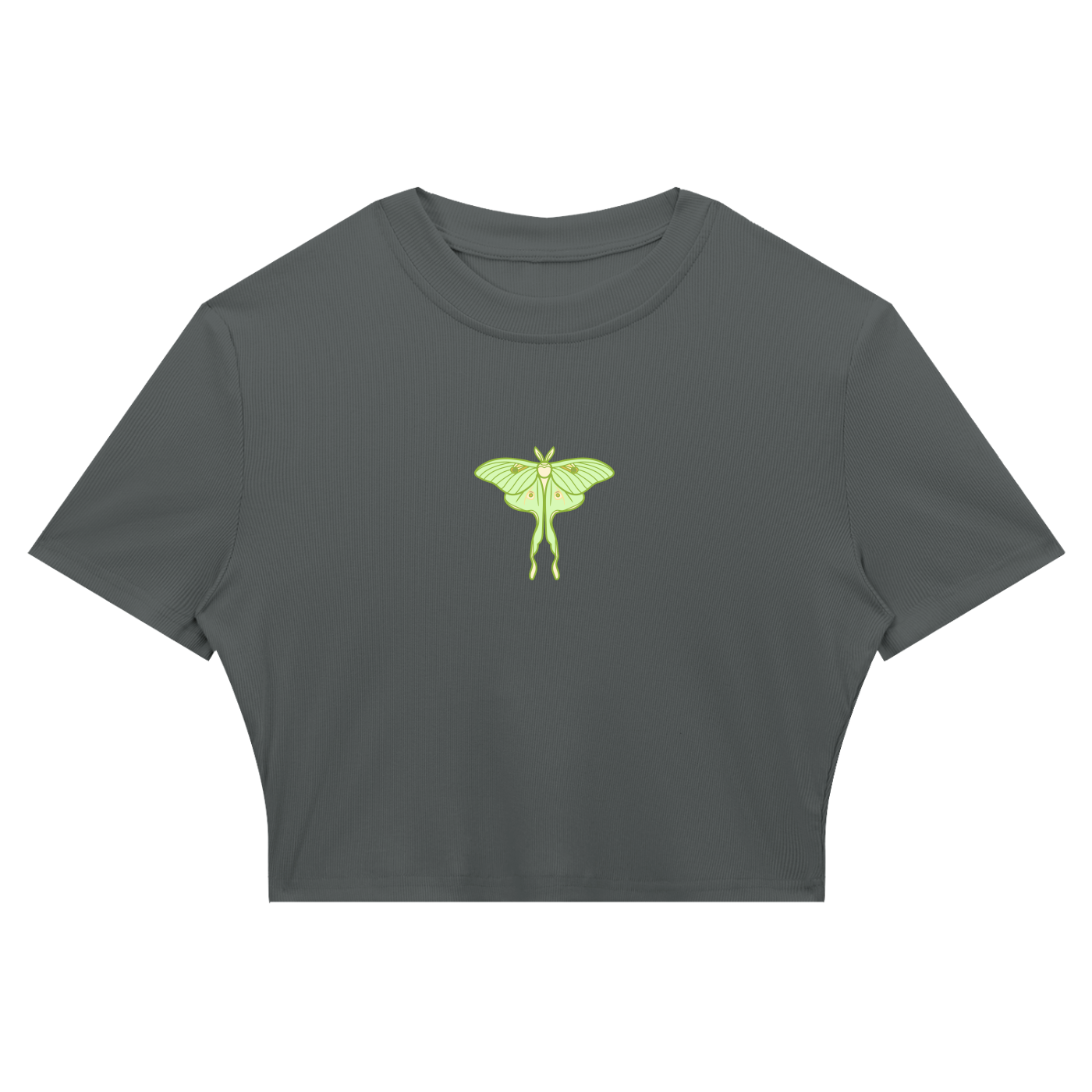 Women's Slim Ribbed Crop T-Shirt