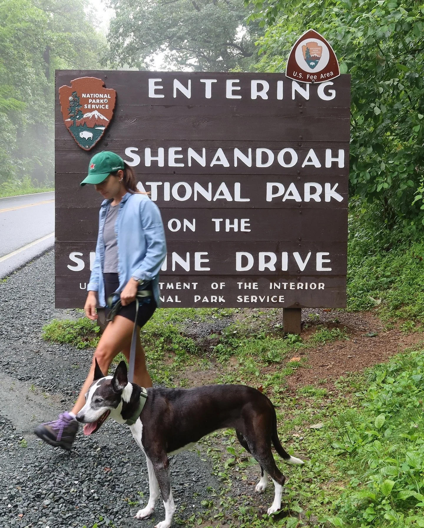 A day at Shenandoah National Park 

Entering from the South Entrance to see the park sign. 
Then drive along Skyline drive stopping of at 
view points on the way. Made some coffee with a great view. Shenandoah is known for its wildlife, fall foliage 