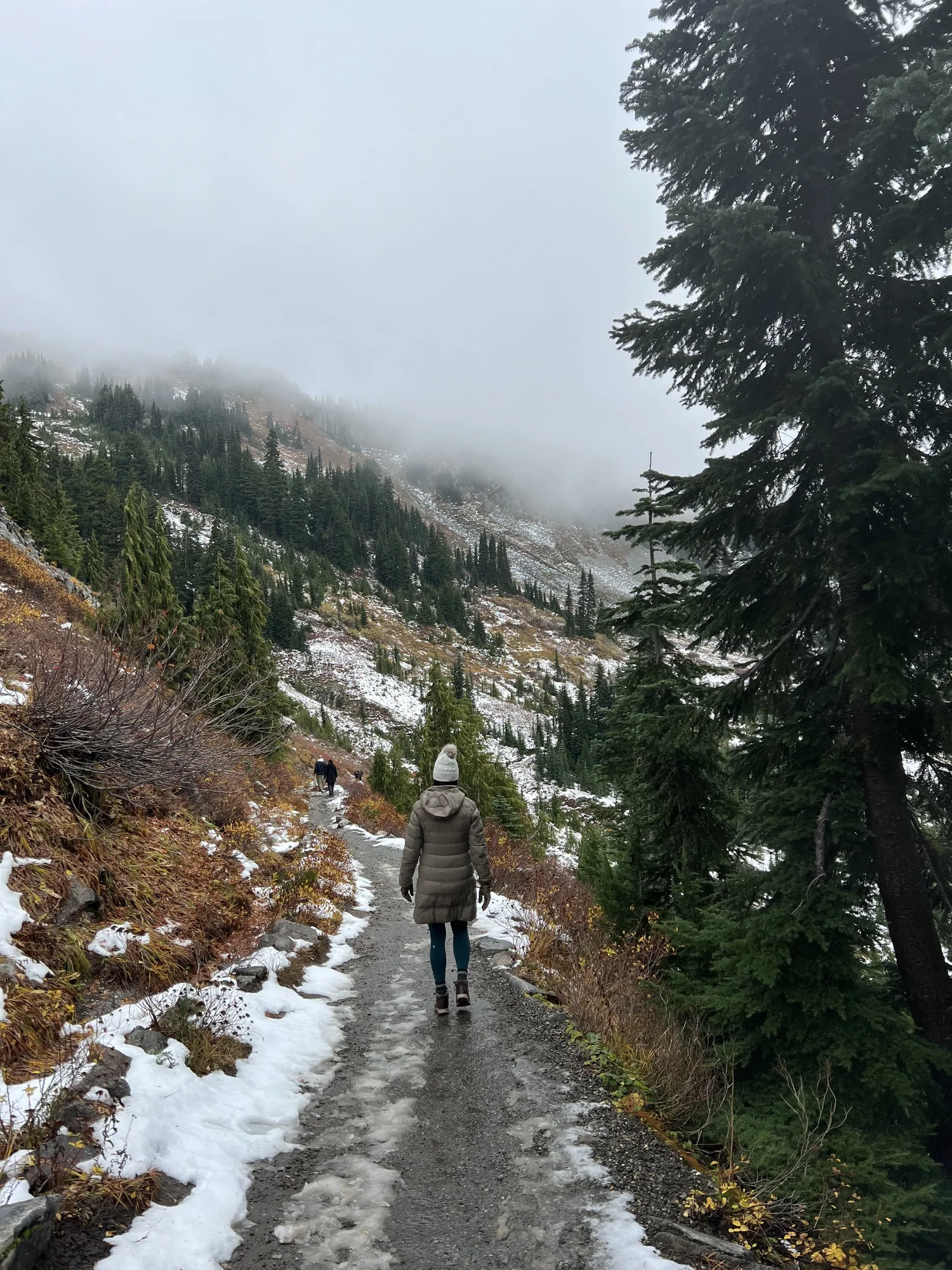 1-Day Itinerary for Mount Rainier National Park — Somewhere Rach ...