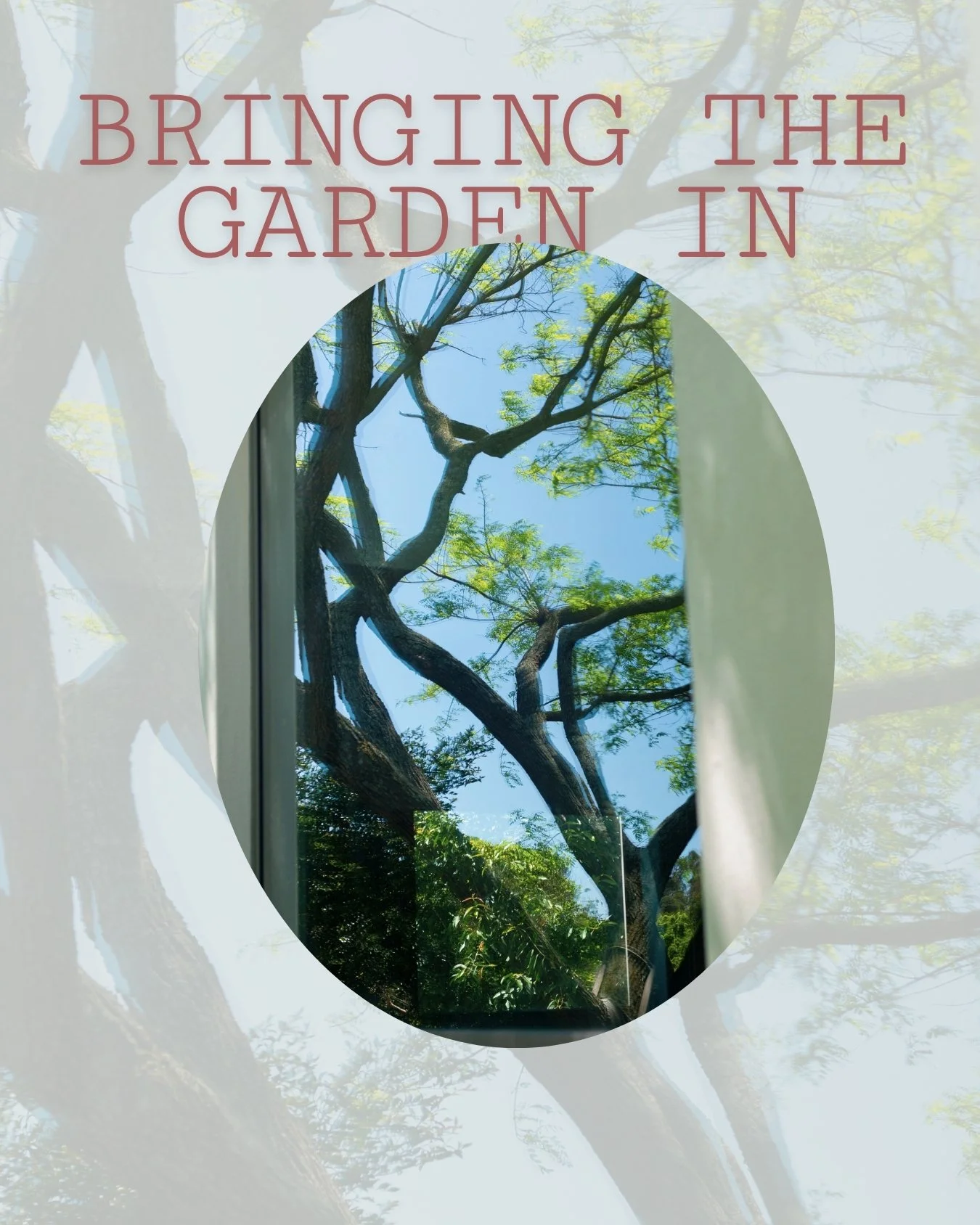 Bringing the garden in &mdash; where light, landscape, and living space meet. Thoughtful thresholds blur inside and out, allowing nature to shape the daily experience of the home.

Photography @natsternberg.photography 
architecture @vdlc_architect 
