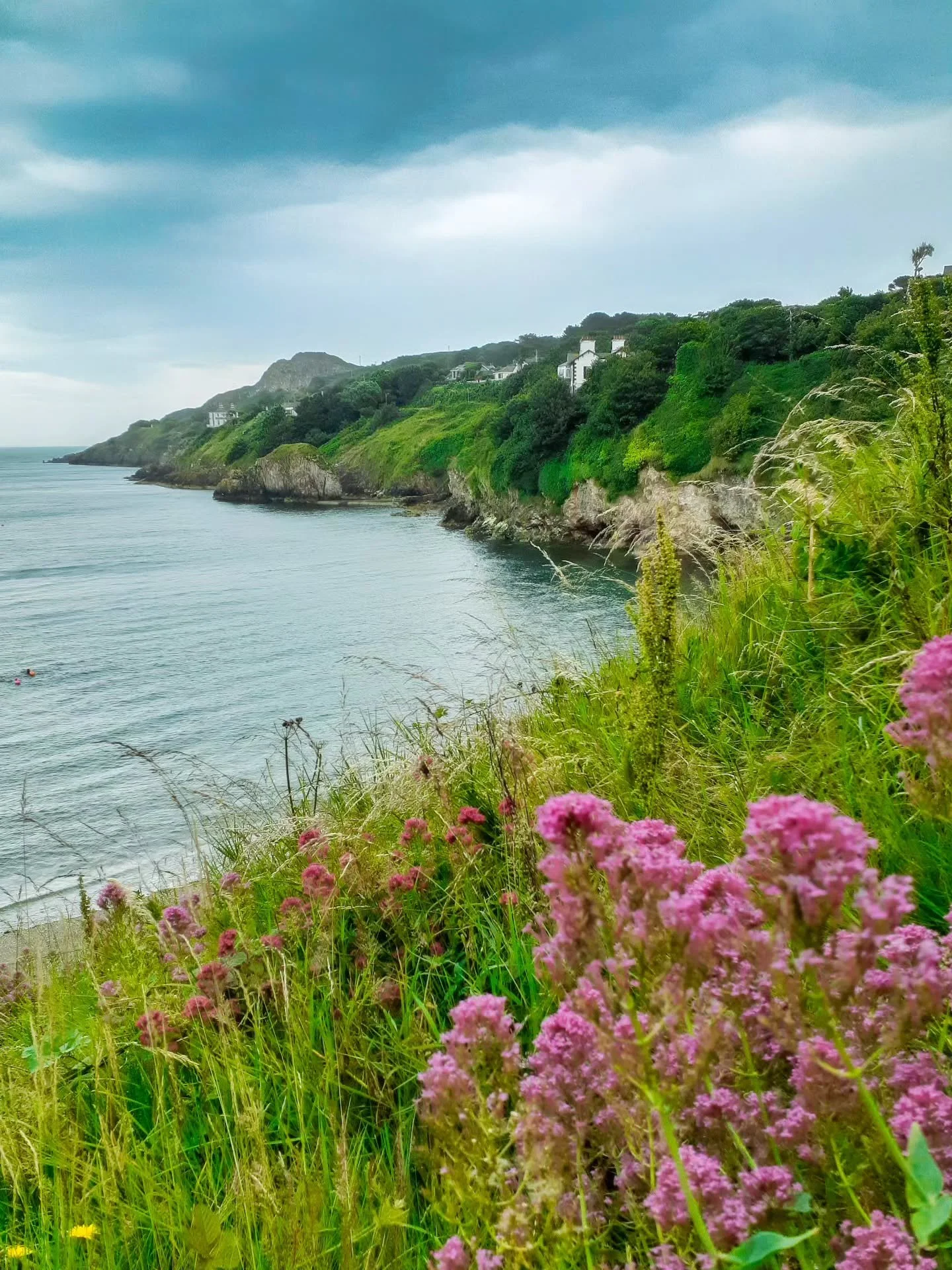 Howth Cliff, Ireland. What a lovely and friendly area. 
#TheulePics #howth #hike #Ireland #travel