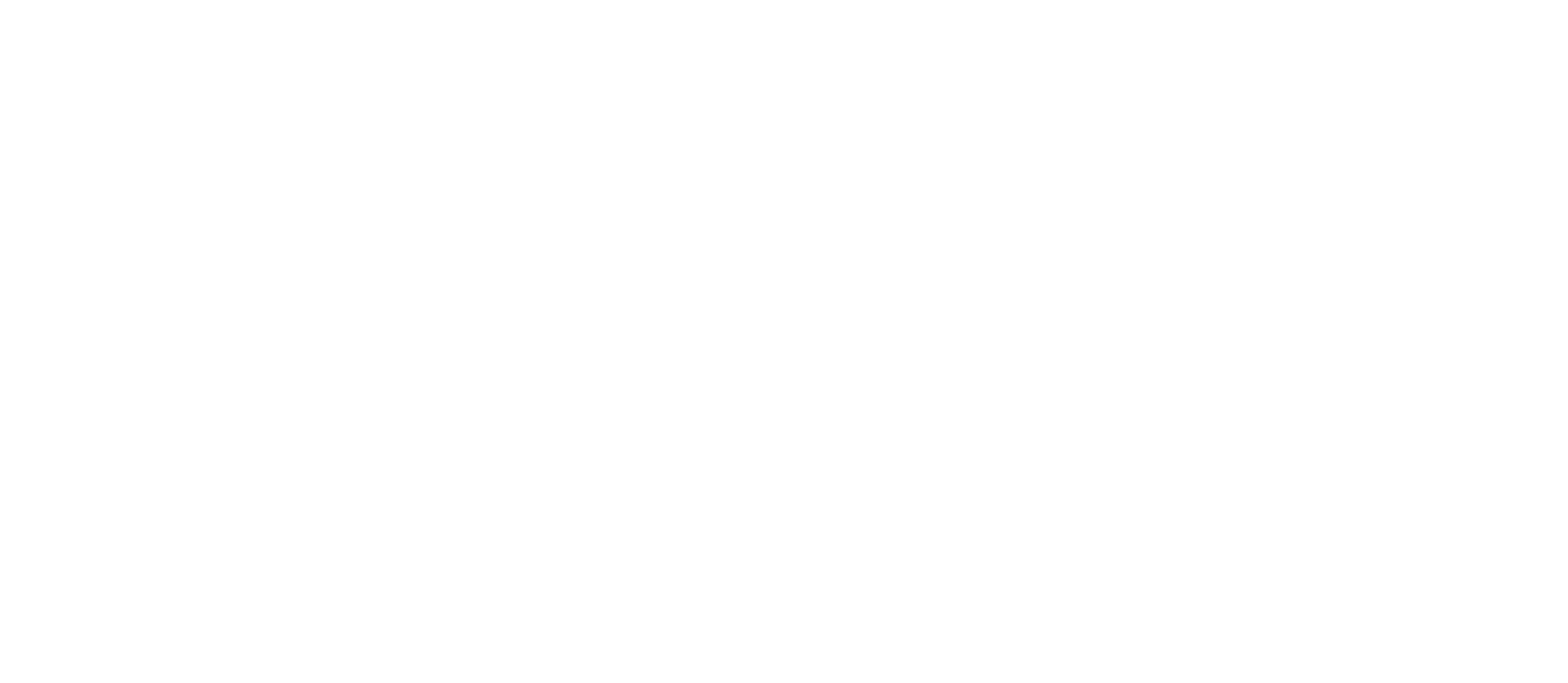 Strategic Empowerment Solutions