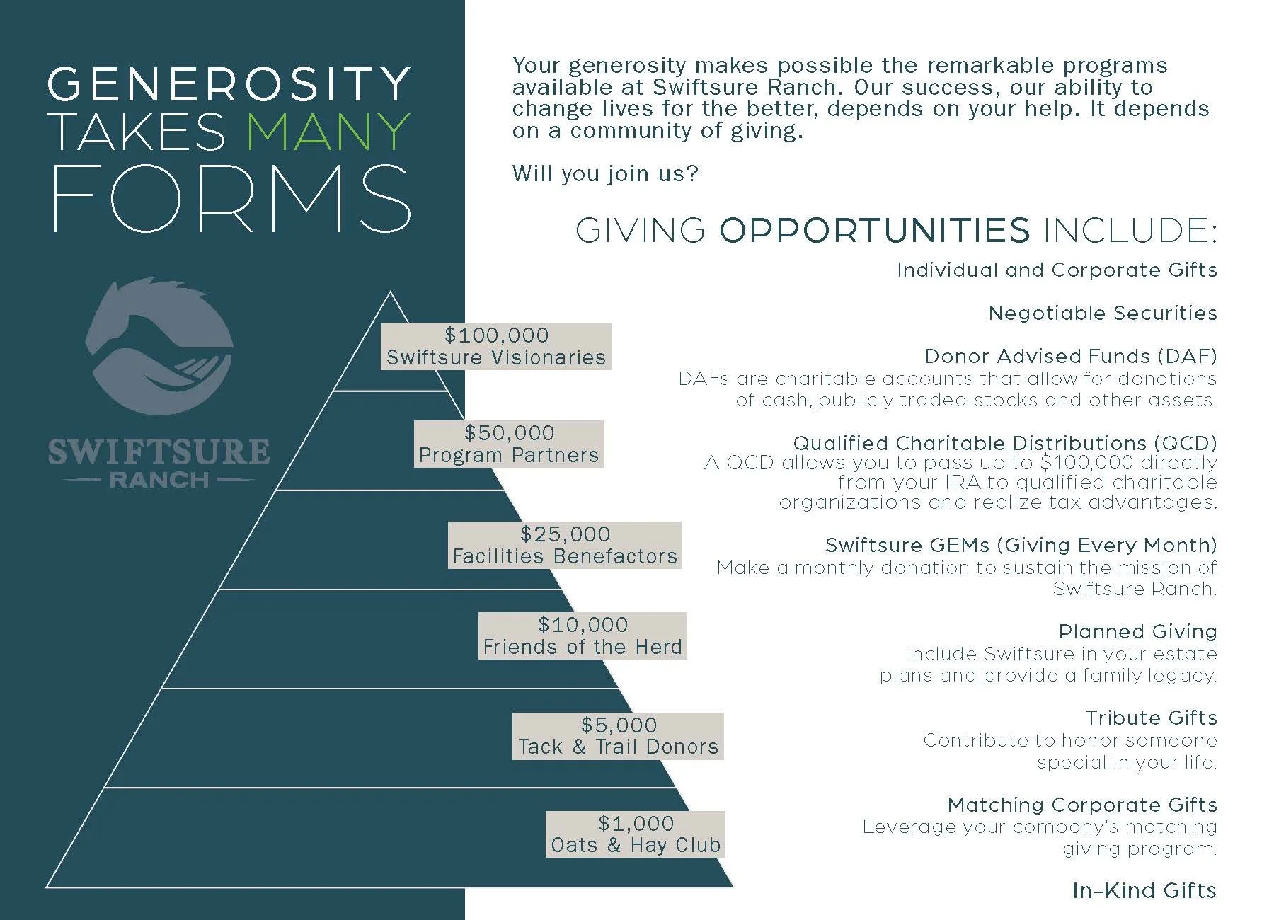 Idaho Nonprofit Lookbook Design for print and digital