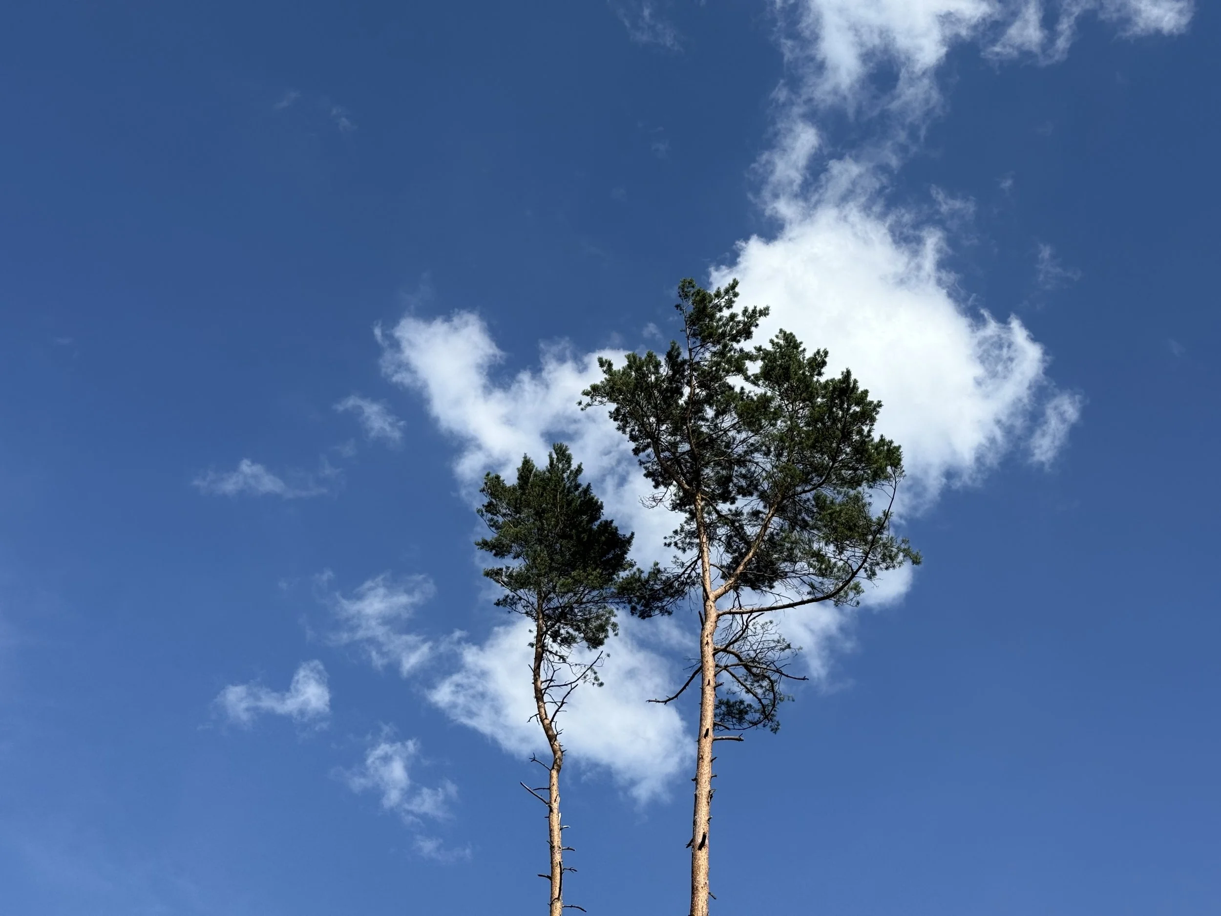 Schritt für Schritt zur Generative AI Applikation – Ein praktisches Playbook aus Produktmanagement Perspektive