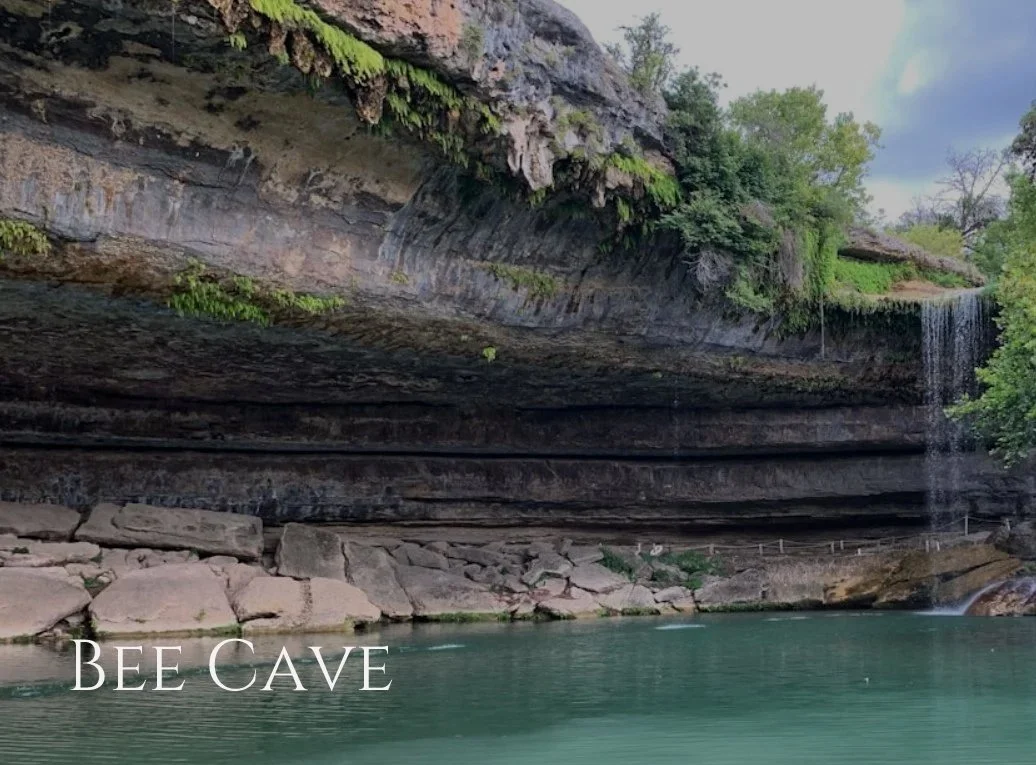 beecave.jpg