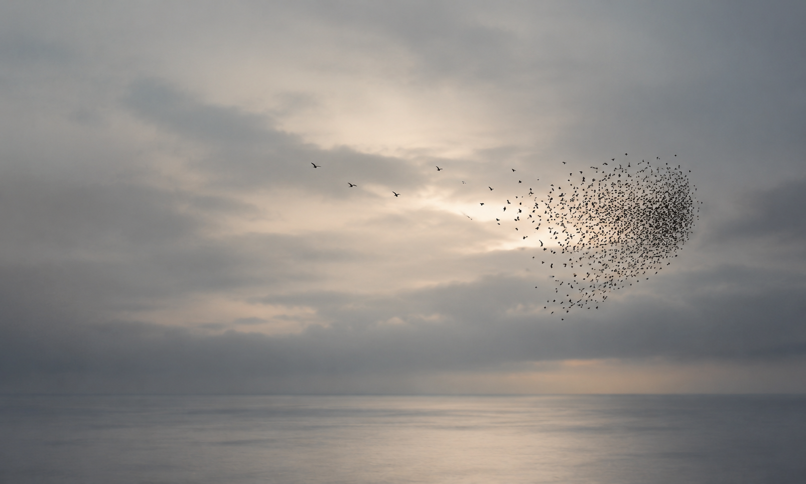 A flock of birds flying in a V formation over a calm ocean with a cloudy sky and soft light in the background.