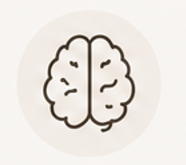 Line icon of a brain, representing thought patterns, cognitive processes, and mental functioning.