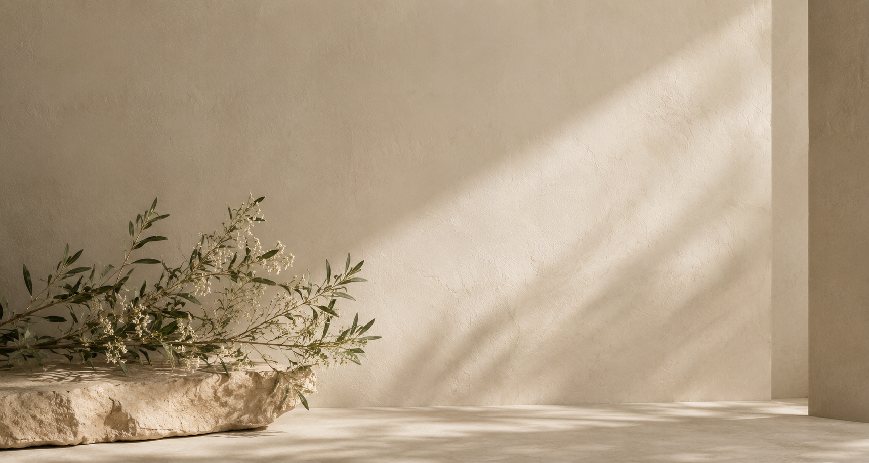 Minimalist scene with soft sunlight on a textured beige wall, featuring a stone surface with a delicate arrangement of greenery.
